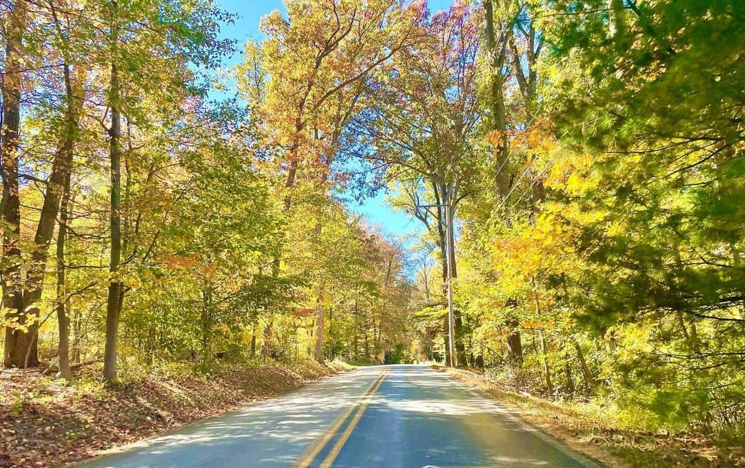 トム・ベリカのインスタグラム：「Nothing like visiting your hometown this time of year. #philadelphiaFall」