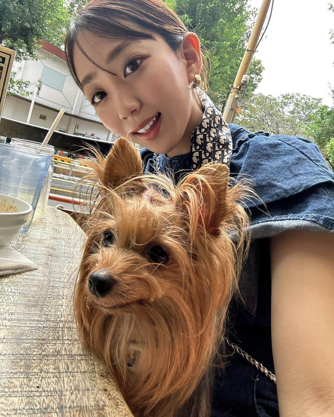 小川奏さんのインスタグラム写真 - (小川奏Instagram)「🐶にこたんお誕生日おめでとう🐶  大好きなところは沢山ありますが、特に好きなのは、一緒に寝る時、一番幅をとって寝るところです♡  ずっと元気でいてね♡  私の写真フォルダーはにこまみれ🐶  #ヨークシャーテリア #ヨークシャテリア #ヨーキー #犬 #いぬすたぐらむ #犬のいる暮らし #デニムコーデ #ワンピース #東京グルメ #instagram #instadaily #instagood #fashion #repost #イエベ秋 #イエベ秋メイク #スカーフ #スカーフアレンジ #秋コーデ #秋」10月15日 21時14分 - kana_missg2020