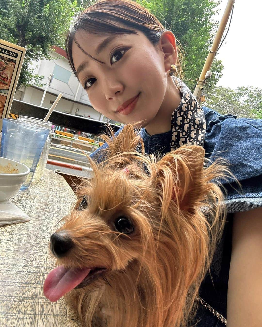 小川奏のインスタグラム：「🐶にこたんお誕生日おめでとう🐶  大好きなところは沢山ありますが、特に好きなのは、一緒に寝る時、一番幅をとって寝るところです♡  ずっと元気でいてね♡  私の写真フォルダーはにこまみれ🐶  #ヨークシャーテリア #ヨークシャテリア #ヨーキー #犬 #いぬすたぐらむ #犬のいる暮らし #デニムコーデ #ワンピース #東京グルメ #instagram #instadaily #instagood #fashion #repost #イエベ秋 #イエベ秋メイク #スカーフ #スカーフアレンジ #秋コーデ #秋」