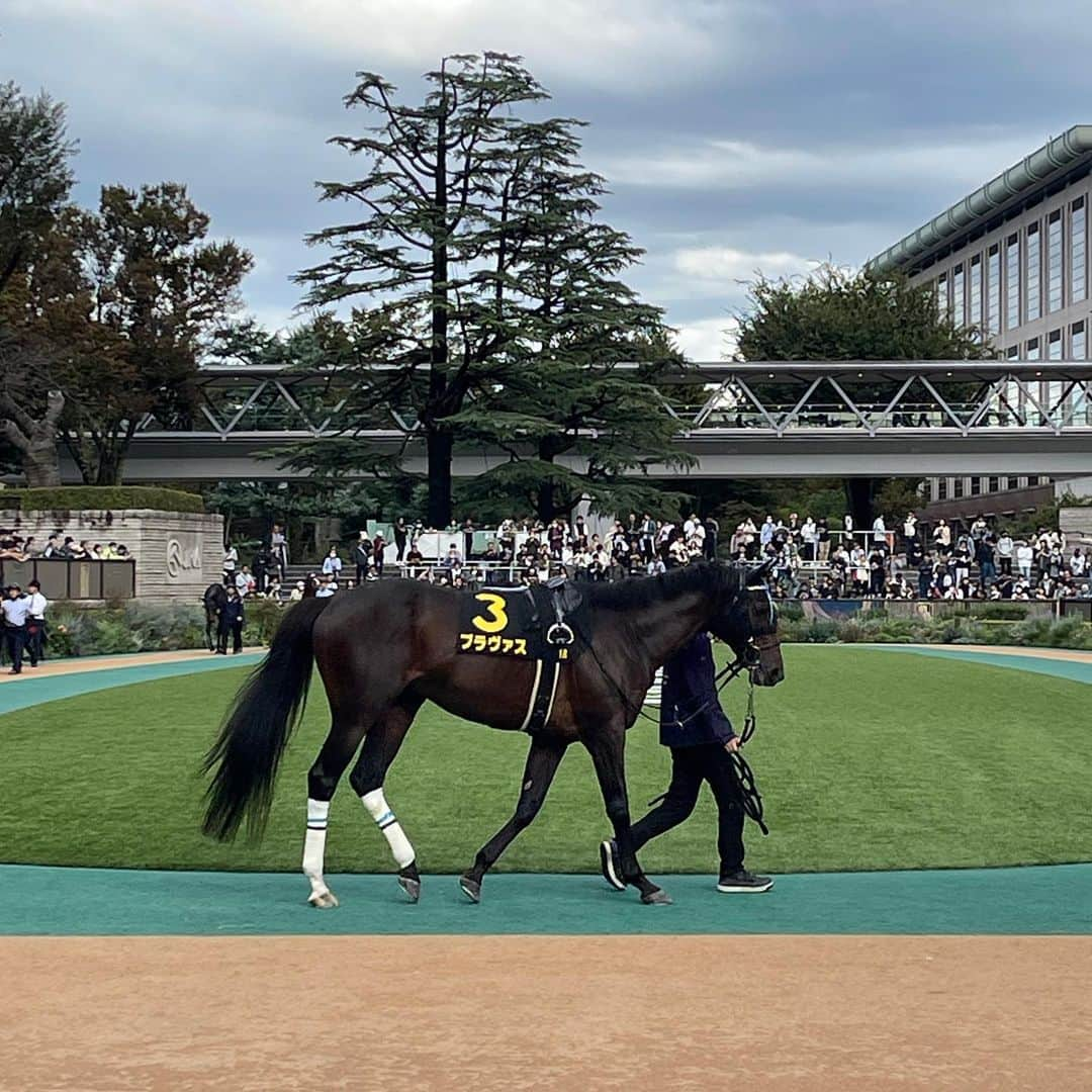 佐々木主浩のインスタグラム