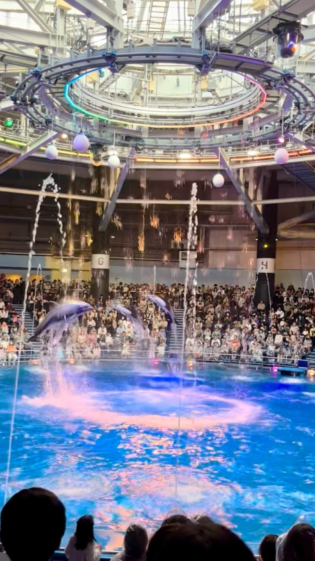 松村未央のインスタグラム：「家族で水族館へ🐠 思い立って行ってきました✨  イルカショーも見られて大満足🐬 娘も楽しんでいました👧🏻 ラッコのぬいぐるみはおねだりに負けました🫠 大事にしてね🦦🦦  #🦦 #水族館 #イルカショー #雨の日の過ごし方 #家族でお出かけ」