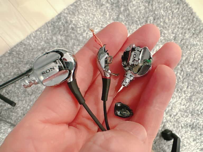 のインスタグラム：「こんばんは！  『感情直結型ギタリスト』西川進です！！  愛用のイヤホン（SONY カナル型イヤホン シルバー XBA-40/S）が、、、  愛犬「ミル」（白豆柴の女の子）にぶっ壊されました、、、（笑）  いつもミルの届かないところに置くよう、、、  めちゃくちゃ気をつけているのですが、、、  一瞬の油断でした、、、。  ま、、、6年も使っていたので、、、  これを機に新しいイヤホンを購入しました、、、。  レポをお楽しみに！！  明日がみなさまにとって素敵な一日となりますように、、、。  #ミルベストショット #柴犬　#豆柴  ＿＿＿＿＿＿＿＿＿＿＿＿＿＿＿＿＿＿＿＿＿ ＿＿＿＿＿＿＿＿＿＿＿＿＿＿＿＿＿＿＿＿＿  sayuras(サユラス)初ワンマンライブのチケット一般発売開始！！  新しいバンドの幕開けの"瞬間"を見逃すな！！  チケットお求めはこちらから☟☟☟  ◉sayuras初ワンマンライブ"The Beginning"  2023.12.16(土)@下北沢CLUB Que ローソンチケット https://l-tike.com/sayuras/ イープラス https://eplus.jp/sayuras/  ◉sayuras 1st single『ナイン』disital released!  各配信サイト https://nex-tone.link/A00122820  MusicVideo https://youtu.be/gfM6s97elyk?si=1Wk7diqlXruUDgzu  ＿＿＿＿＿＿＿＿＿＿＿＿＿＿＿＿＿＿＿  株式会社 Emö SensatioN（Smash Room Group）は、  サポートミュージシャン  （特に！！ベーシスト、キーボーディスト）を急募します！！  応募はこちらから！！  https://emosensation.com/wanted/  Smash Room Group https://smashroom.com  #ミル #愛犬　#白豆柴 #白い豆柴   #sayuras　#サユラス　#西川進　#ギター #ギタリスト　#guitarist #サウンドプロデュース #スマッシュルーム　#SmashRoom #サポートミュージシャン  #レコーディング　#ソロ　#EmöSensatioN　#エモセンセイション　  #ギター教室 #音楽教室 #レッスン #スクール #エモスク  #演奏　#楽器　#音楽」