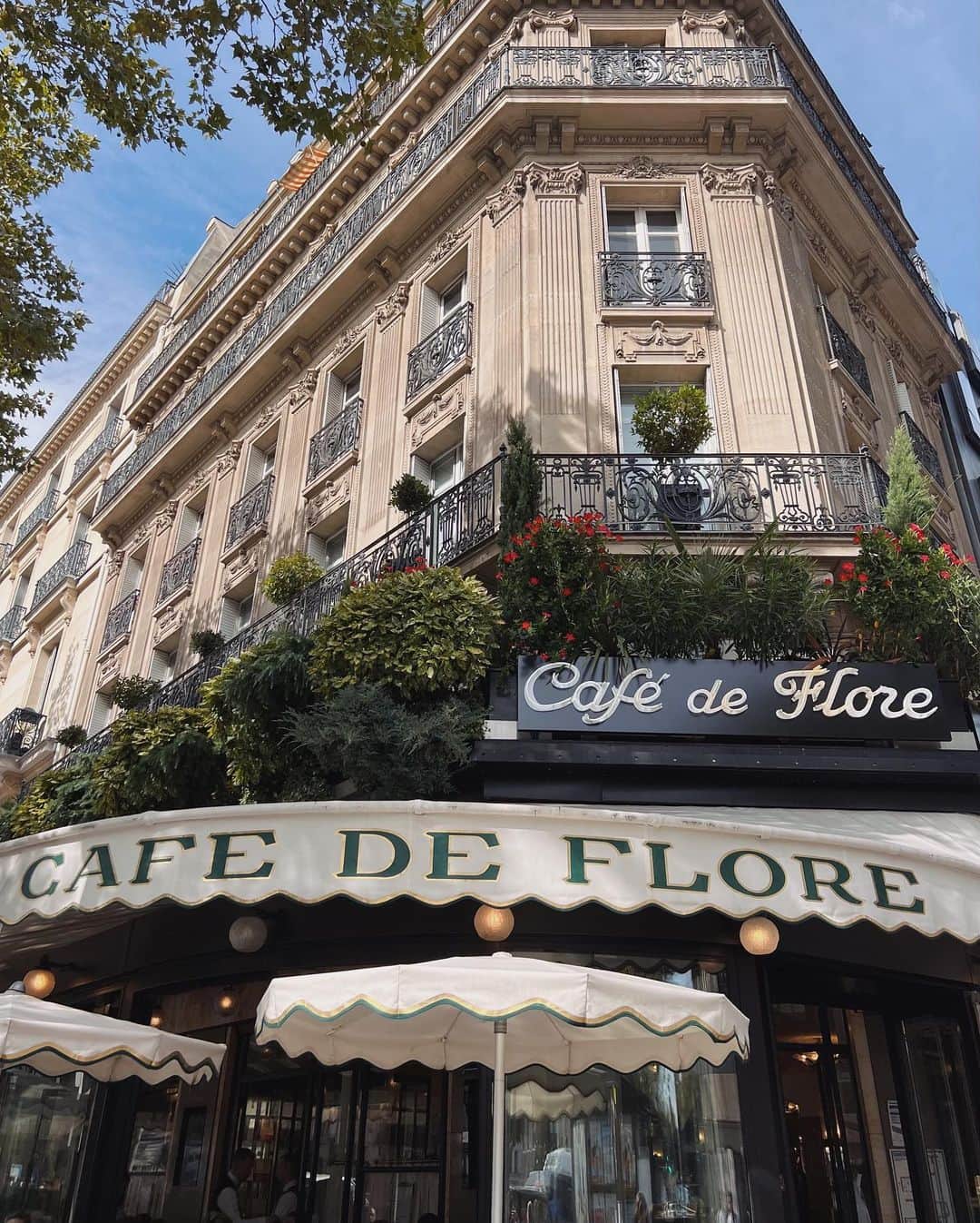 Julia Castroさんのインスタグラム写真 - (Julia CastroInstagram)「Paris Day1💐  秋晴れの中のパリ散歩は夢の世界でしかなかった♡ 画面上でしか見たことがなかったパリの街並みはどこを切り取っても美しかったな…  パンテオン, Emilyが食べてたパンオショコラ, ノートルダム大聖堂, エッフェル塔, Cafe de Flore, Hotel Lutetia dinner, と盛りだくさんだった大満足の1日目。  Vlogも載ってるので是非見てね☺️ . #paris #france #Painauchocolat #cafedeflore  #latoureiffel  #eiffeltower  #パリ #フランス」10月15日 21時44分 - julia.c.0209
