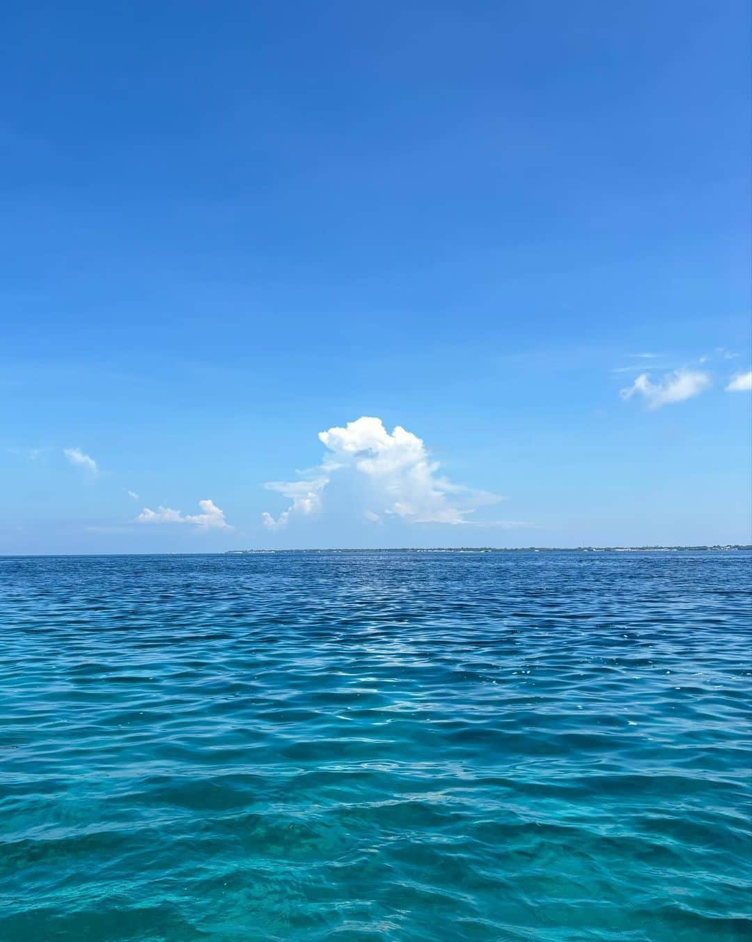 須崎優衣さんのインスタグラム写真 - (須崎優衣Instagram)「I Love Summer🏖️☀️🧡🥭🍍」10月15日 22時10分 - yui106301susaki