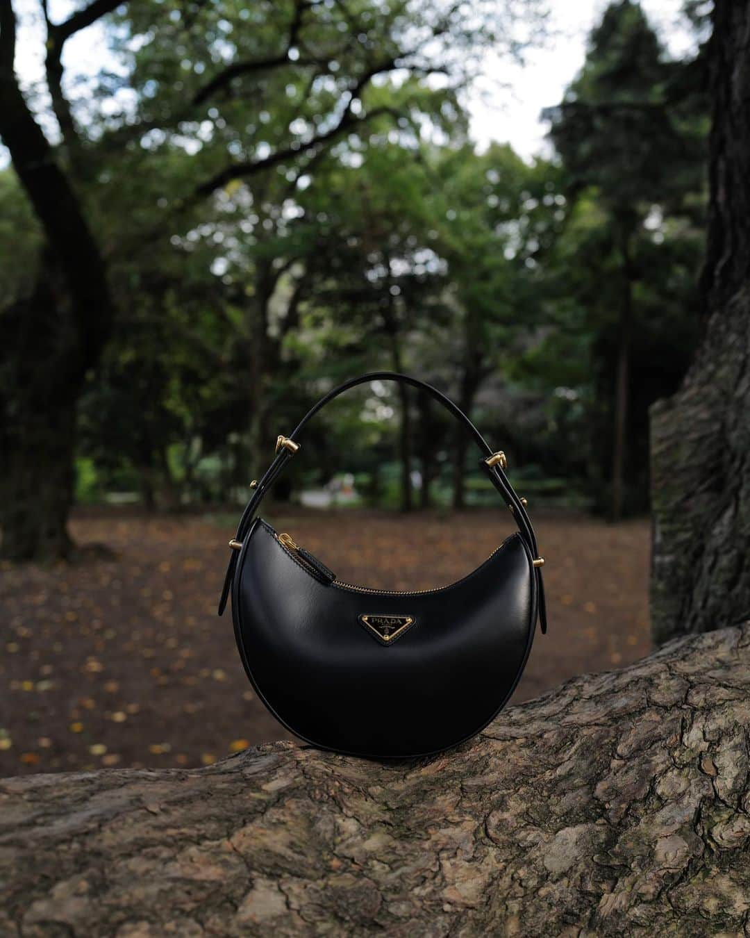 伊原葵さんのインスタグラム写真 - (伊原葵Instagram)「PradaArque👜🌳✨  フォルムが美しいおnewなbagを持って、 自然を感じてきた日  どんなファッションにも合うしお気に入り♡  今しかできないスタイリングにしてみた✨  Thank you @prada 🖤  #PradaArque #aocode」10月15日 22時03分 - aoi186