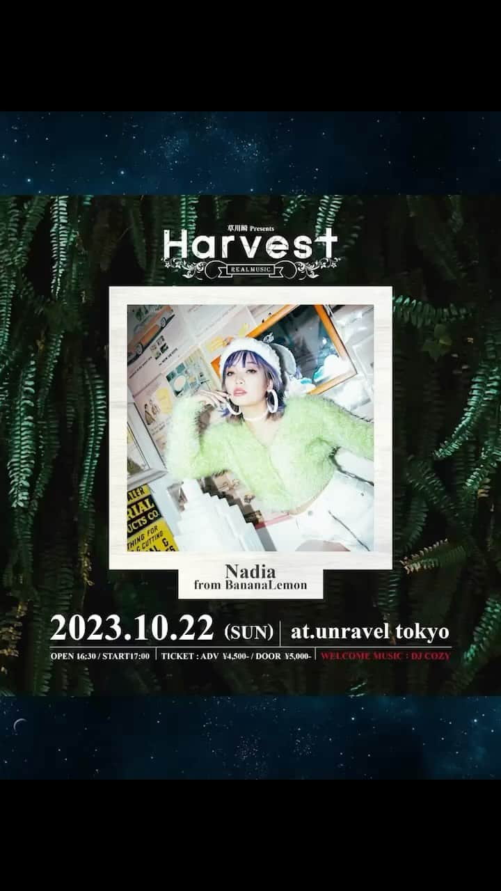 草川瞬のインスタグラム：「🎵Harvest 出演者コメント🎵 ⁡ 【Nadia From BananaLemon】 ⁡ 本日ご紹介はNadia From BananaLemon ずっと存在は知ってたし 歌も聞かせてもらってましたが やっと今回Harvestを機にブッキングさせて頂きました ⁡ 衝撃的な歌唱力を ただただファンとしてブッキングしたので 来て下さる皆さんとNadiaちゃんの 歌声で感動を共有したいと思います ⁡ 当日はフルバンドでLIVEをしてくれるそうなので 本当に特別感満載のステージになると思います！ ⁡ 本物のDIVAのステージ 是非堪能して下さいね🔥」