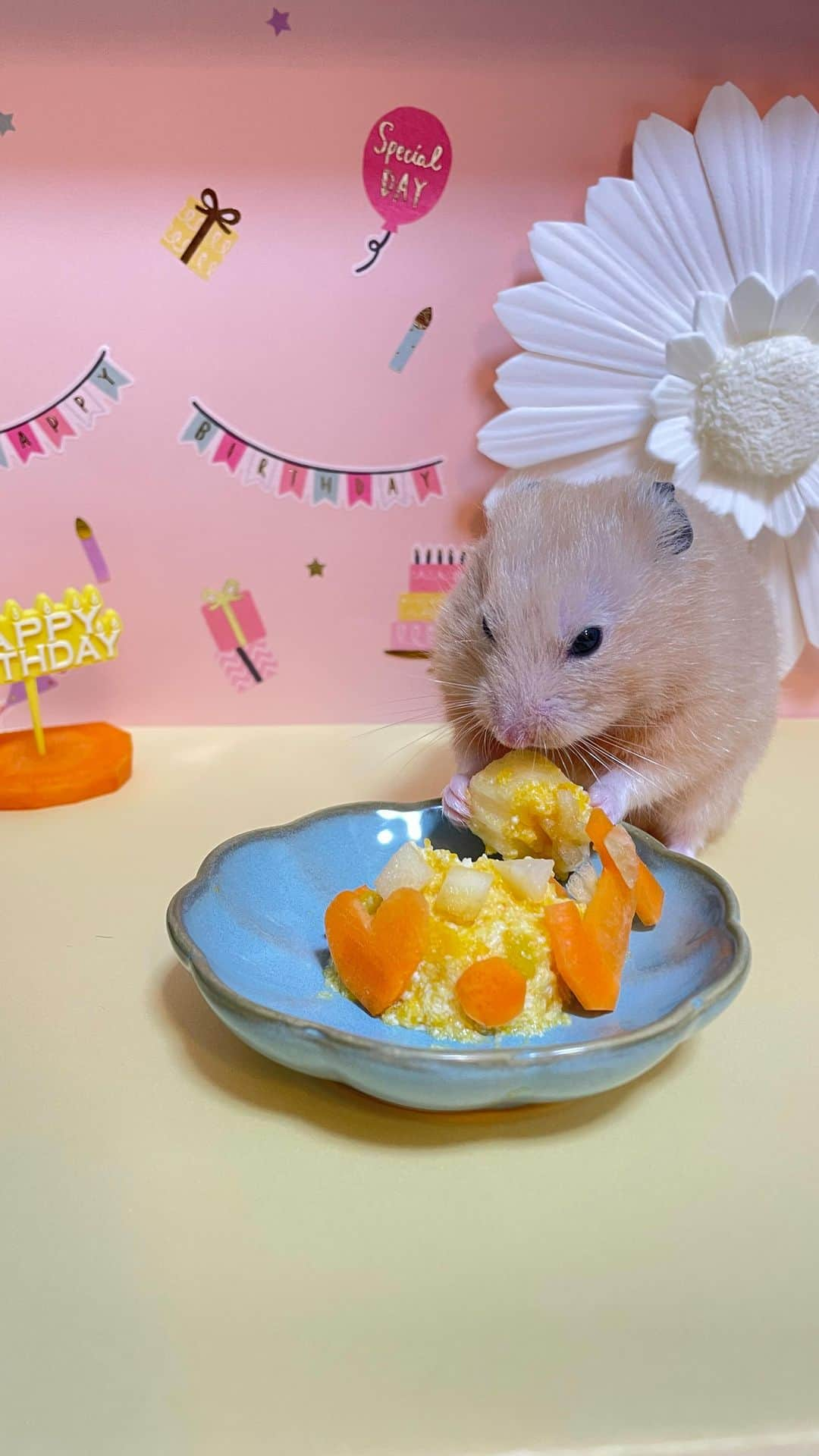 愛内心愛のインスタグラム：「きなこ🐹の1歳のお誕生日会を彼氏としたよ❤️ かぼちゃとお豆腐のクリームを丸くカットしたりんごに塗って、りんごジュレとにんじんでデコレーションしたバースデーケーキ🎂を作ってみた！  きなこも嬉しそうに食べてくれたよ🎁  #キンクマハムスター　#キンクマ　#ハムスター　#ハムスター誕生日　#ハムスター誕生日おめでとう  #ハムスター誕生日ケーキ　#ハムスター手作りケーキ　#ハムスター手作りおやつ  #誕生日ケーキ　#手作り誕生日ケーキ　#誕生日会　#hamster  #happybirthday  #birthdaycake」