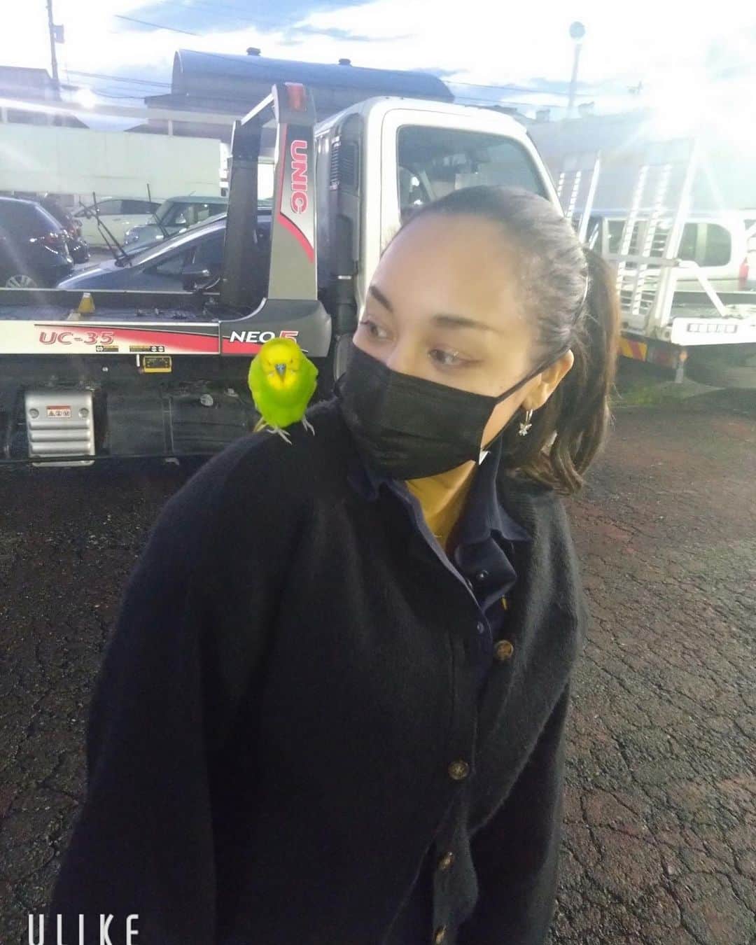 アレサ・ネスミスさんのインスタグラム写真 - (アレサ・ネスミスInstagram)「職場に迷えるインコさん🦜 肩に乗るのん人馴れし過ぎてるなぁ🤔」10月15日 22時20分 - aretha.nesmith