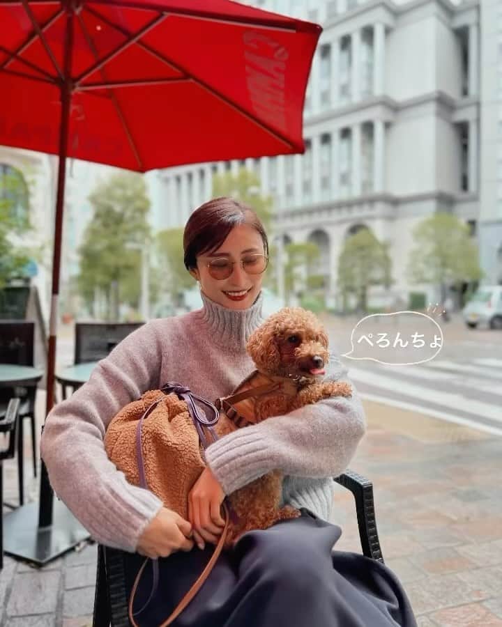 Ayaのインスタグラム：「ぺろんちょ🐶 ワンコを飼ってる皆さん 暑い日も寒い日もテラス席でお茶やランチ。 日焼けするし、風邪をひくかもしれないけど、それでも一緒に連れて行きたいから、あったかい店内を羨ましそうに眺めながらホットカフェラテを飲みます。 今年も寒さに負けずに頑張るぞ❣️ . ボアポシェットはリバーシブルで ストラップは2色の2本つきます💜🤎 @un_number.official  受注スタートです #ボア#ボアバッグ#リバーシブル#unnumber#テラス席#わんこのいる生活 #わんことお出かけ」