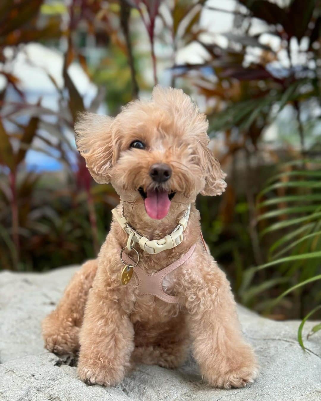 Truffle??松露?トリュフのインスタグラム