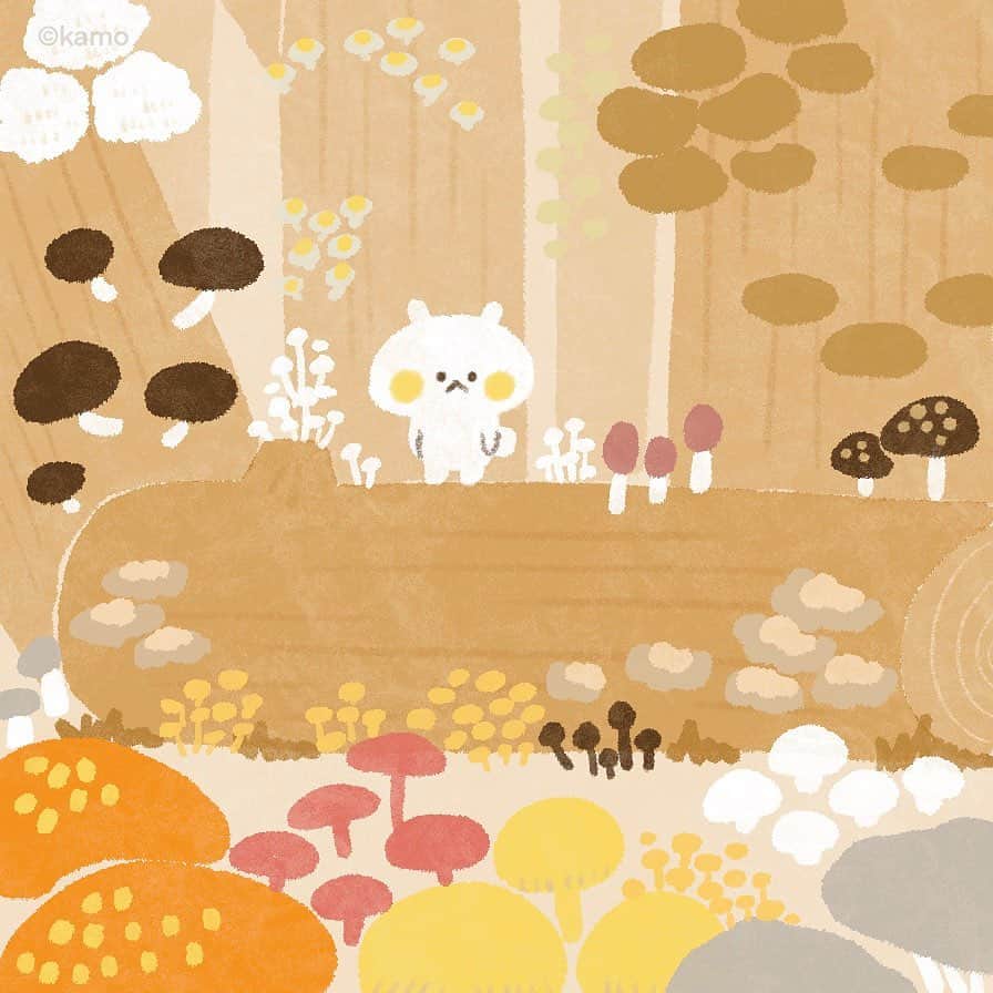 カモさんのインスタグラム写真 - (カモInstagram)「ぽこぽこぽこぽこぽこ #昨日 #きのこの日 #きのこ #mushroom #ウサギタケ #usagitake」10月16日 7時30分 - illustratorkamo