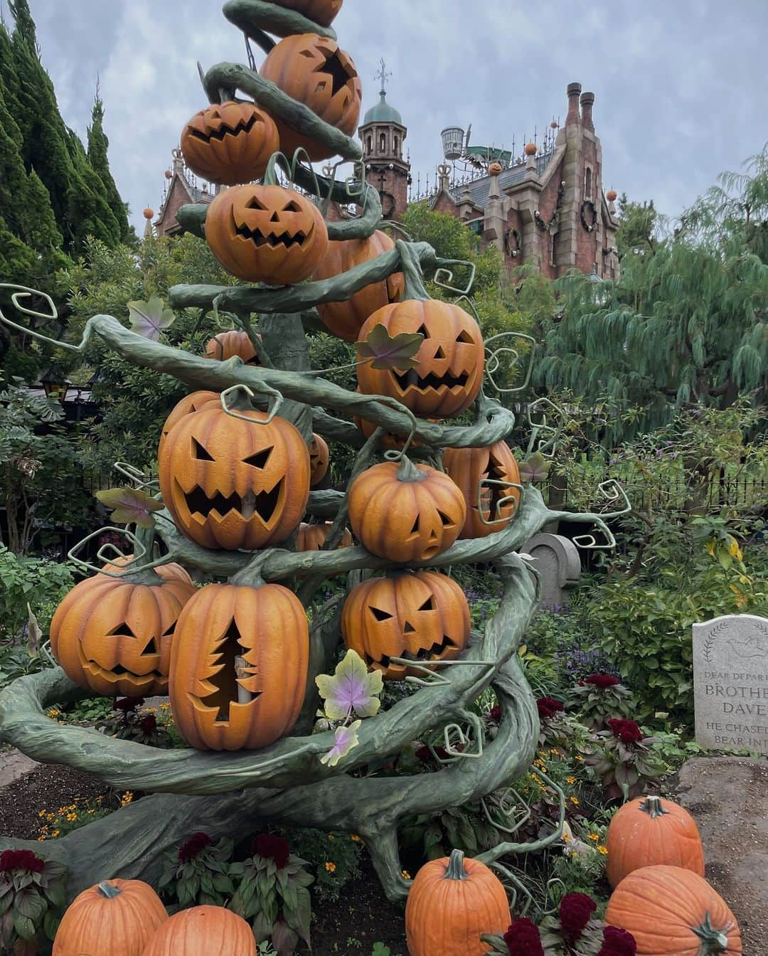 aachann7さんのインスタグラム写真 - (aachann7Instagram)「🐭 . 去年の余韻を楽しみながら今年の準備。  @tokyodisneyresort_official  #aachann7disney  #ディズニーシー  #ディズニーランド」10月15日 13時40分 - aachann7