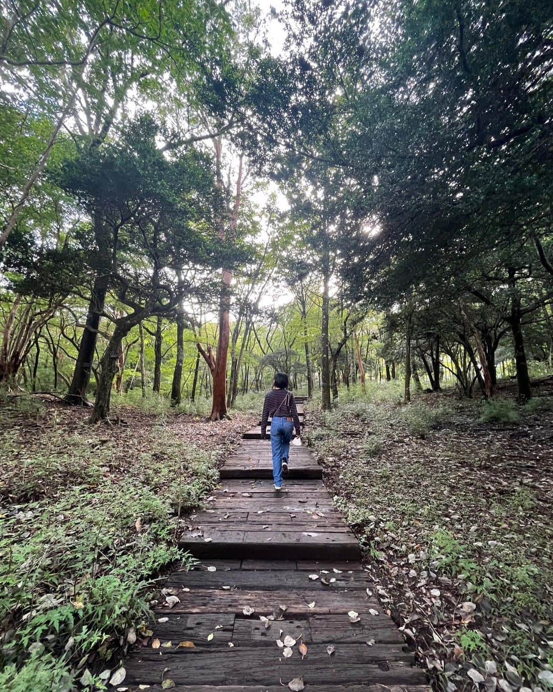 山本真莉のインスタグラム：「🌲🤍  緑のあるところへ行くと 心が落ち着くし 空気も美味しいから 呼吸が安定する  少しふわふわとしていた手足も 少しずつ地について 歩いていけそうだなと」