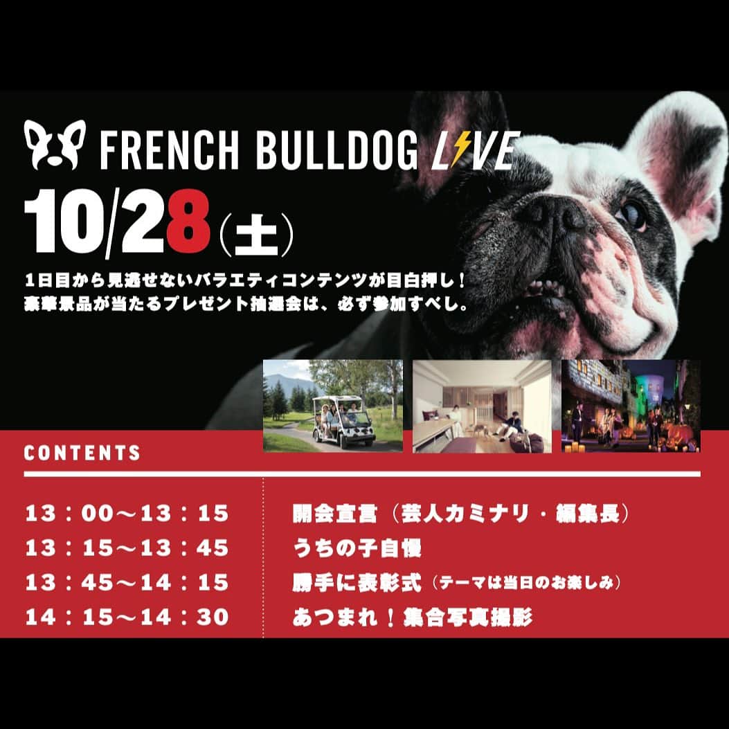 French Bulldog Lifeのインスタグラム：「【フレブルLIVE タイムテーブル🕑day1】 10/28（土）のステージコンテンツはこれだ⚡️  今年は開催宣言まで時間に余裕があるので、お先にショッピングやお食事など、のんびりお過ごしいただけます！  ステージに上がってくれた方々のノベルティもご用意していますので、お楽しみに⚡️  ★前売りチケットのご購入は「本日10/15sun」まで！  #フレブルLIVE」