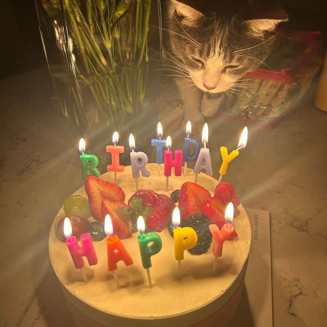 飯島寛子のインスタグラム：「Kirklandに住む長男の家着いたらsurprise birthday cake!! 愛猫Beanちゃんも一緒に祝ってくれたよ。 #ワシントン　#kirkland  #猫のいる暮らし #誕生日」
