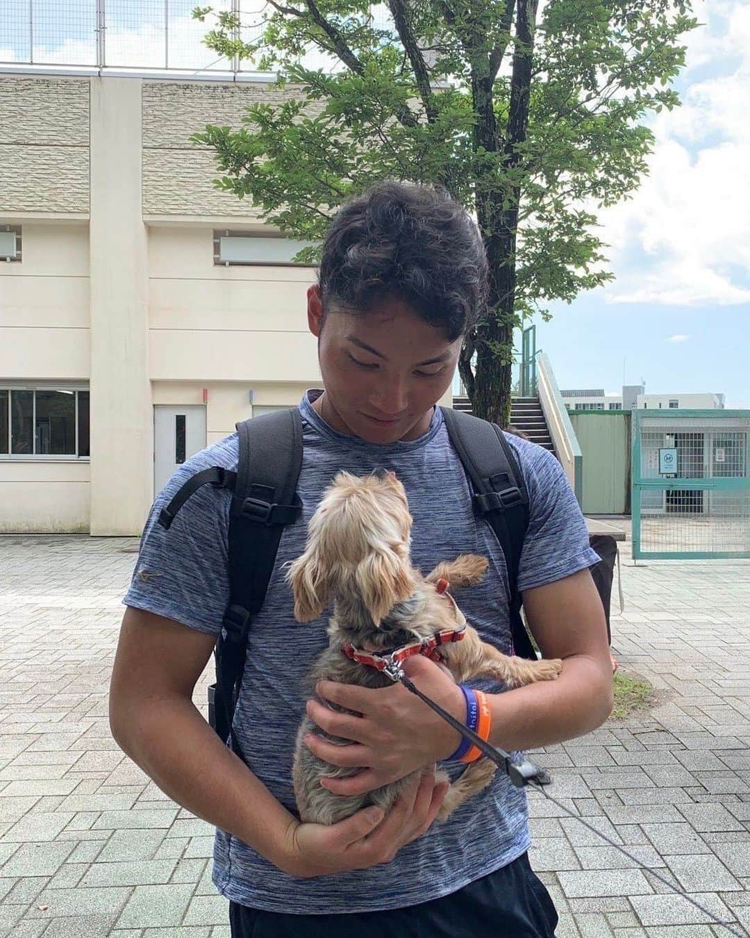 伊藤大海さんのインスタグラム写真 - (伊藤大海Instagram)「そして、もう一つご報告が 愛犬のチョコちゃん 19年10ヶ月頑張りました。 シーズン中で最後会う事出来なかったのが心残りですが…  伊藤家に沢山の癒しと笑顔をありがとう😌  ゆっくり眠ってください😌  #チョコ #ありがとう」10月15日 15時26分 - hiromi0831.17