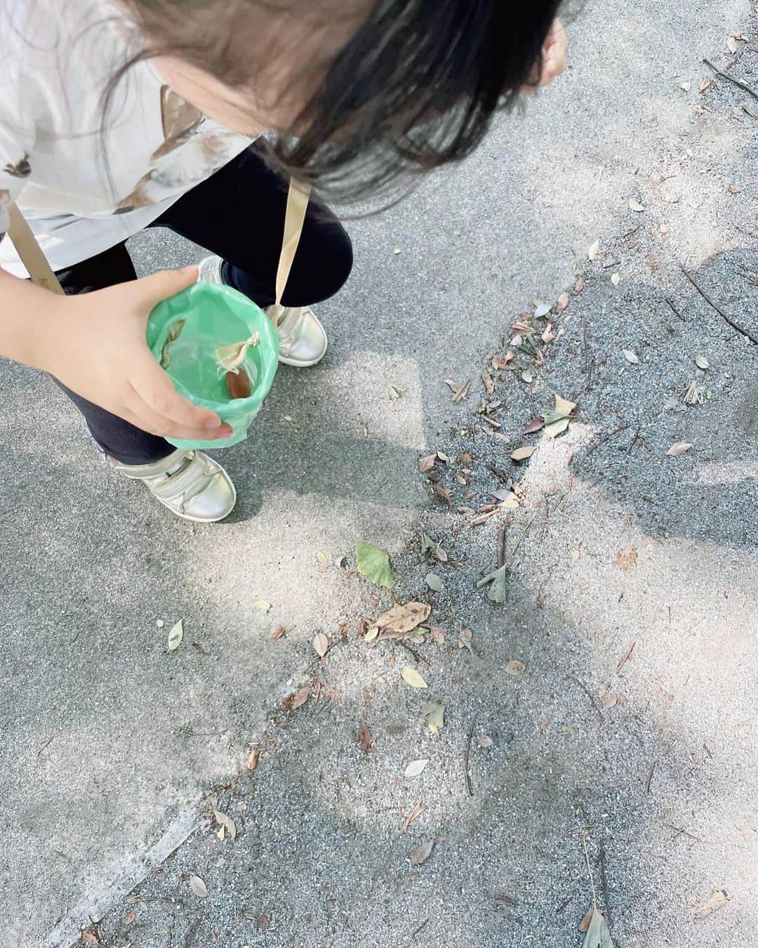 英玲奈さんのインスタグラム写真 - (英玲奈Instagram)「昨日は秋晴れでとても気持ちの良い1日でしたね☀️ 我が家は家族で大きい公園に行ってきました。 パパと娘は徒競走をしたり、 色んな遊具で遊んだり。 ちょうど、どんぐりの季節なので、 急遽3分くらいでペットボトルでどんぐりポシェットを作ってあげて、 どんぐり拾いもしてきました。 楽しそうな娘の姿が見られて幸せな1日でした😊  #娘#daughter#2歳10ヶ月#女の子ママ#girlmom#女の子幼児#girlbaby#親バカ部#毎日が特別#子供のいる生活#ていねいな子育て」10月15日 15時27分 - erena_erenyan