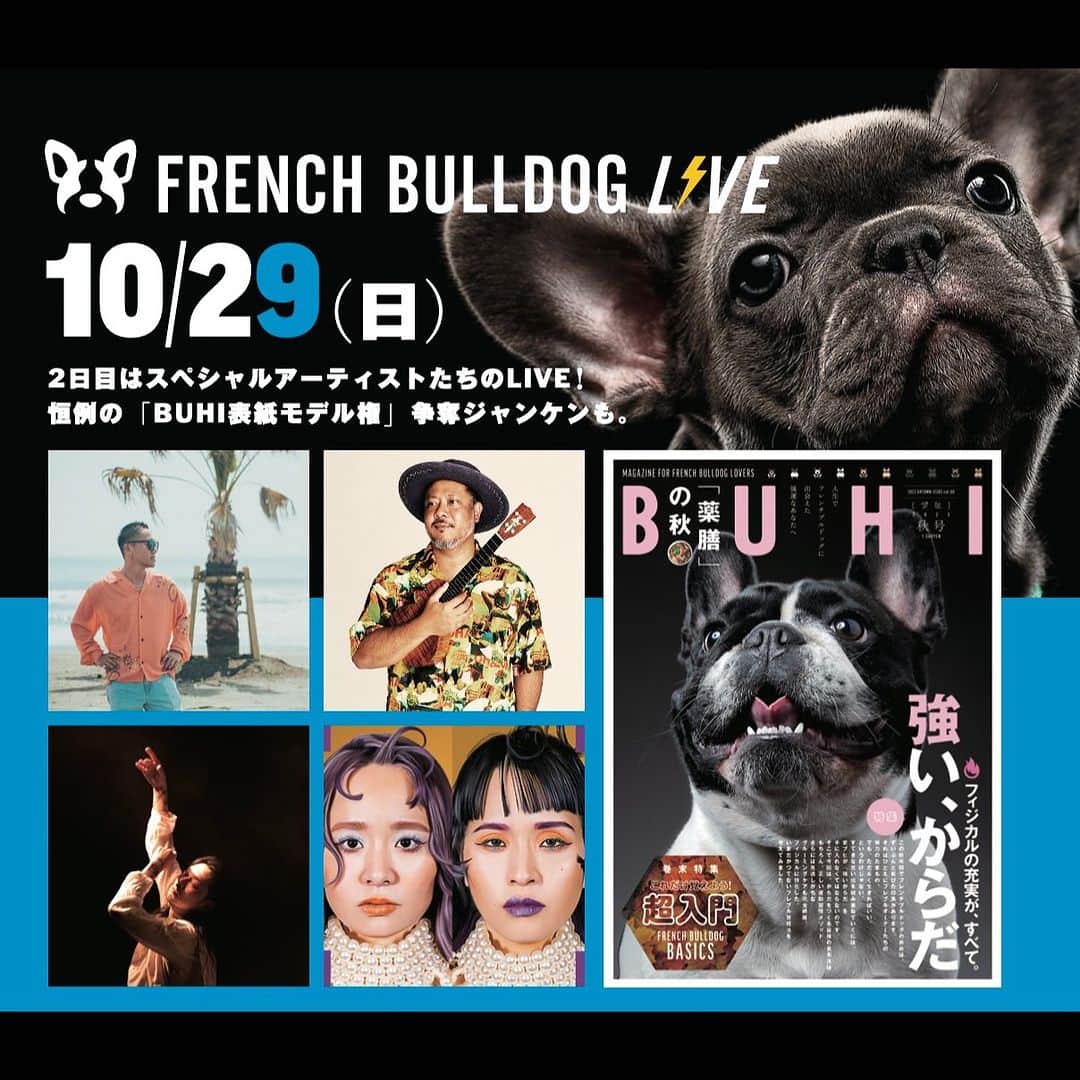 French Bulldog Lifeのインスタグラム：「【フレブルLIVE タイムテーブル🕑day2】 10/29（日）のステージコンテンツはこれだ⚡️  お昼頃の「集合写真」を皮切りに、FES timeスタート！  フレンチブルドッグや犬にまつわる、豪華出演アーティストたち。  愛ブヒと気兼ねなくライブを楽しめるのは、ここだけ！  ラストは愛ブヒが「BUHI」の表紙になるチャンス、抽選会（じゃんけん大会）を行います！  対象者は「その場にいる方」となりますので、どうかチャンスを逃さないように🤝  ★追加チケット（当日引換券）販売中⚡️  #フレブルLIVE @microfromdeftech @00800 @atsushi_takahashi_official @charanporantan」