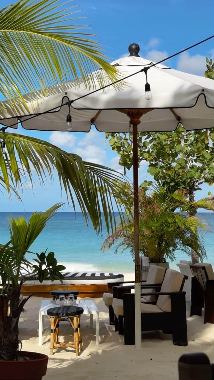 エリッサ・ダウニーのインスタグラム：「Travel to @palmheightsgc with me🏝️  A crazy to start to the next few months ✨」