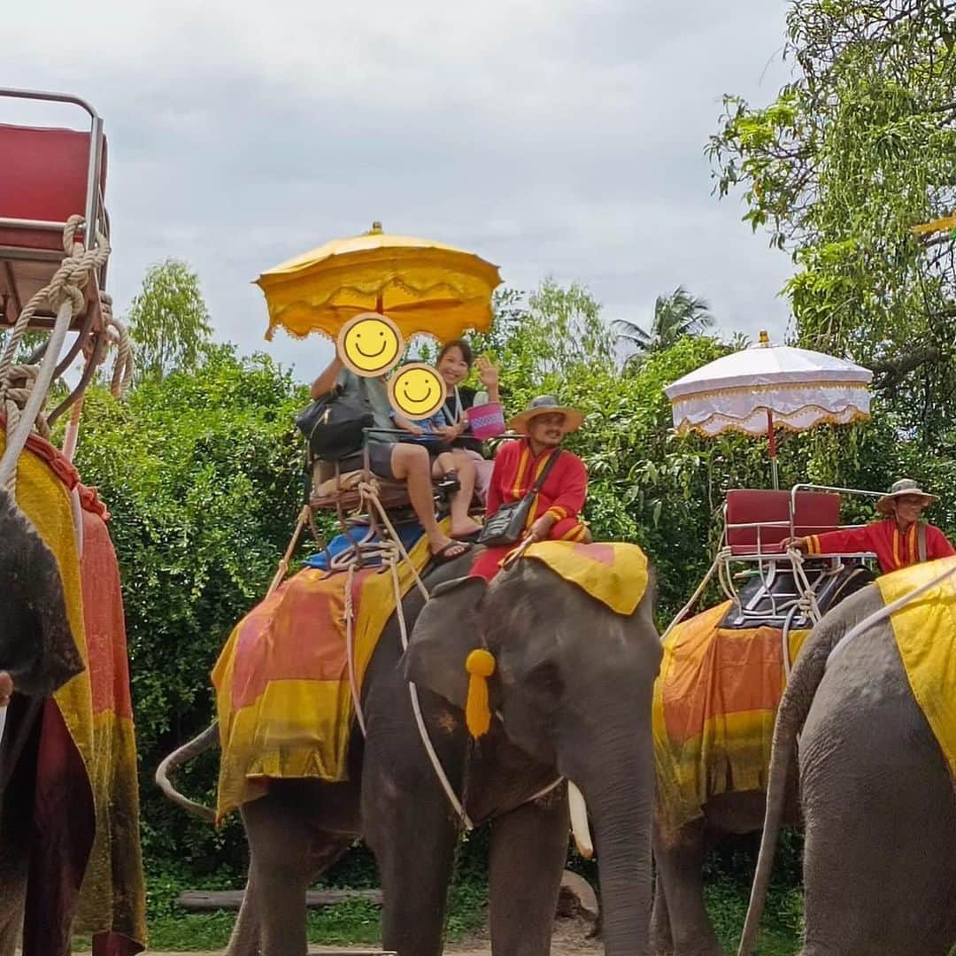 須黒清華のインスタグラム：「さて、 タイ🇹🇭ではゾウに乗りました！🐘✨ 移動にはgrabを使うことが多かったのですが、とっても親切なgrabの運転手さんと出会い、その方のオススメコースに連れて行ってもらいました😊  朝出発してメークロン市場へ行って電車🚃を見て、ボート🚣‍♀️に乗って水上市場へ、そしてゾウに乗るというコース。 ツアーに参加するより安くて、自分たちのペースで動けるのでオススメ✨  ちょっとハードな移動でしたが、子どもも大喜びでした！ 移動中は子どもが好きなyou tubeを車内で流してくれて、オススメのお店も紹介してくれました✨ grabはすぐに来るし、距離で料金が決まっているので安心です🙆‍♀️ #タイ #タイ旅行 #子連れタイ #子連れ旅行 #子連れ海外 #ゾウ #象に乗る #象にのったぞう 笑 #thailand #trip #elephant 🐘」