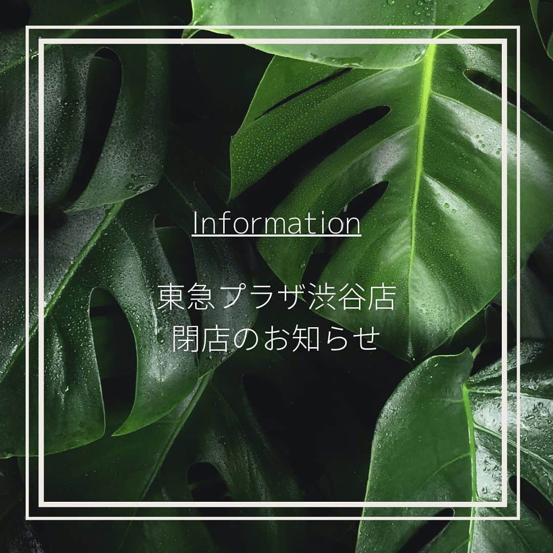 THANNさんのインスタグラム写真 - (THANNInstagram)「平素は格別のご高配を賜り、厚くお礼を申し上げます。  このたび2023年11月15日(水)をもちまして、 THANN東急プラザ渋谷店を営業終了させていただくことになりました。 長い間、ご厚情賜り誠にありがとうございました。 また、ご利用いただいておりますお客様には ご不便おかけし誠に申し訳ございませんが、 11月16日(木)以降のご購入に関しましては、 下記店舗、または弊社オンラインショップにて ご購入いただけますので、引き続きご用命いただければ幸いでございます。 今後とも弊社商品をどうぞ宜しくお願い申し上げます。　　　　　　　　　　  ＜THANN直営店舗 (東京都内)＞ ■THANN麻布台ヒルズ店　 ※11月24日(金)オープン予定 東京都港区虎ノ門5-9-1 ガーデンプラザB 2F 　 ■THANN 表参道ヒルズ店　 東京都渋谷区神宮前4-12-10 表参道ヒルズ 本館B2F  ■THANN 東急プラザ銀座店　 東京都中央区銀座5-2-1 東急プラザ銀座3F  ■THANN 伊勢丹新宿店　　 東京都新宿区新宿3-14-1 伊勢丹新宿店 本館5Fリビングフロア」10月15日 18時35分 - thannjapan