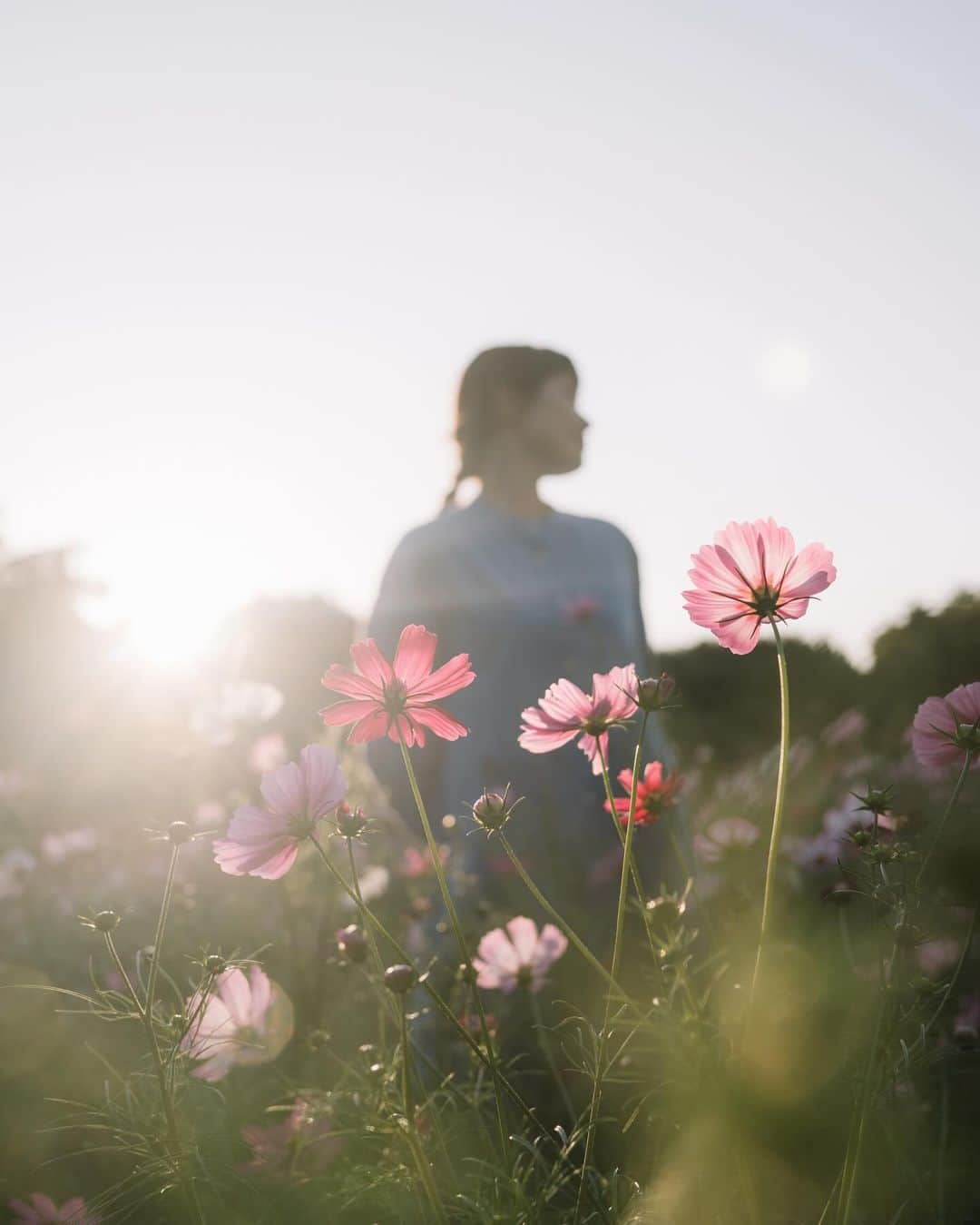 fuka_09さんのインスタグラム写真 - (fuka_09Instagram)「西陽に透ける ⁡ ⁡ #Zf #Nikoncreators ⁡ NIKKOR Z 40mm f/2 (SE)」10月15日 18時50分 - fuka_09