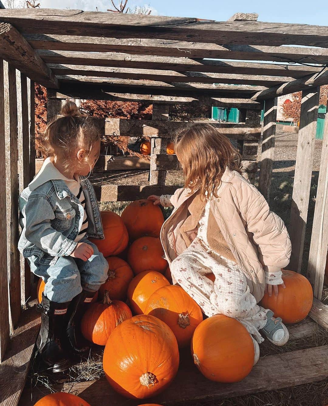 ファーン・マッキャンさんのインスタグラム写真 - (ファーン・マッキャンInstagram)「Gone pumpkin pickin 🎃🧡  Annual set of pumpkin pics 🎃🎃🎃🎃🎃🎃🎃🎃 what’s your favourite autumn/October tradition? 🎇🎆🎃👻💀🍁🍂🌰🧋  #pumpkin #pumpkinpicking #pumpkincarving #autumn #october」10月15日 18時53分 - fernemccann