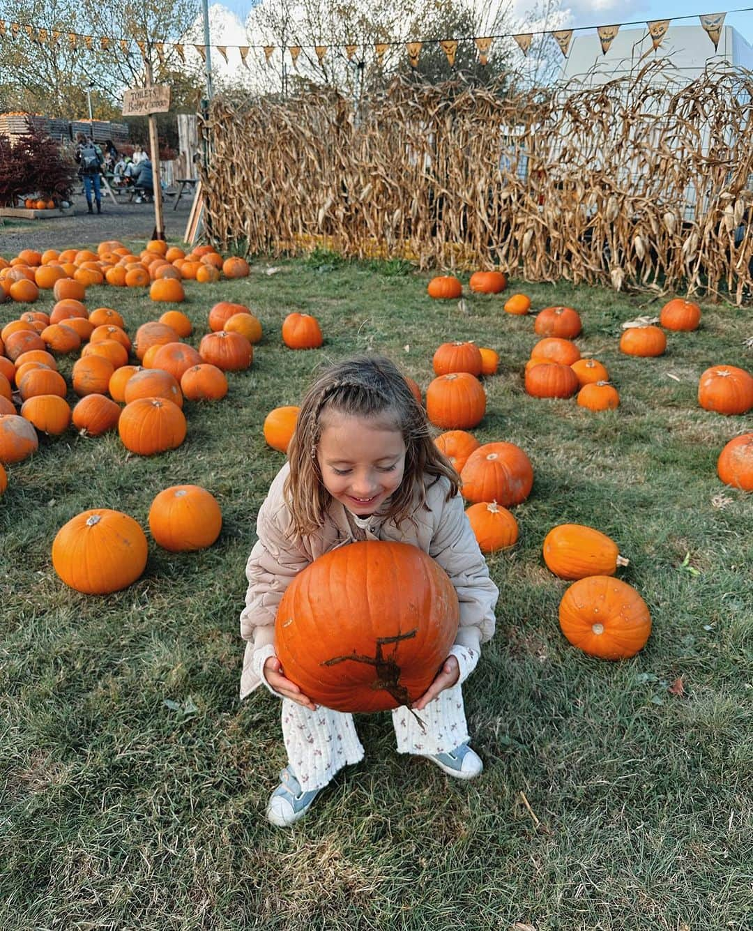 ファーン・マッキャンのインスタグラム：「Gone pumpkin pickin 🎃🧡  Annual set of pumpkin pics 🎃🎃🎃🎃🎃🎃🎃🎃 what’s your favourite autumn/October tradition? 🎇🎆🎃👻💀🍁🍂🌰🧋  #pumpkin #pumpkinpicking #pumpkincarving #autumn #october」