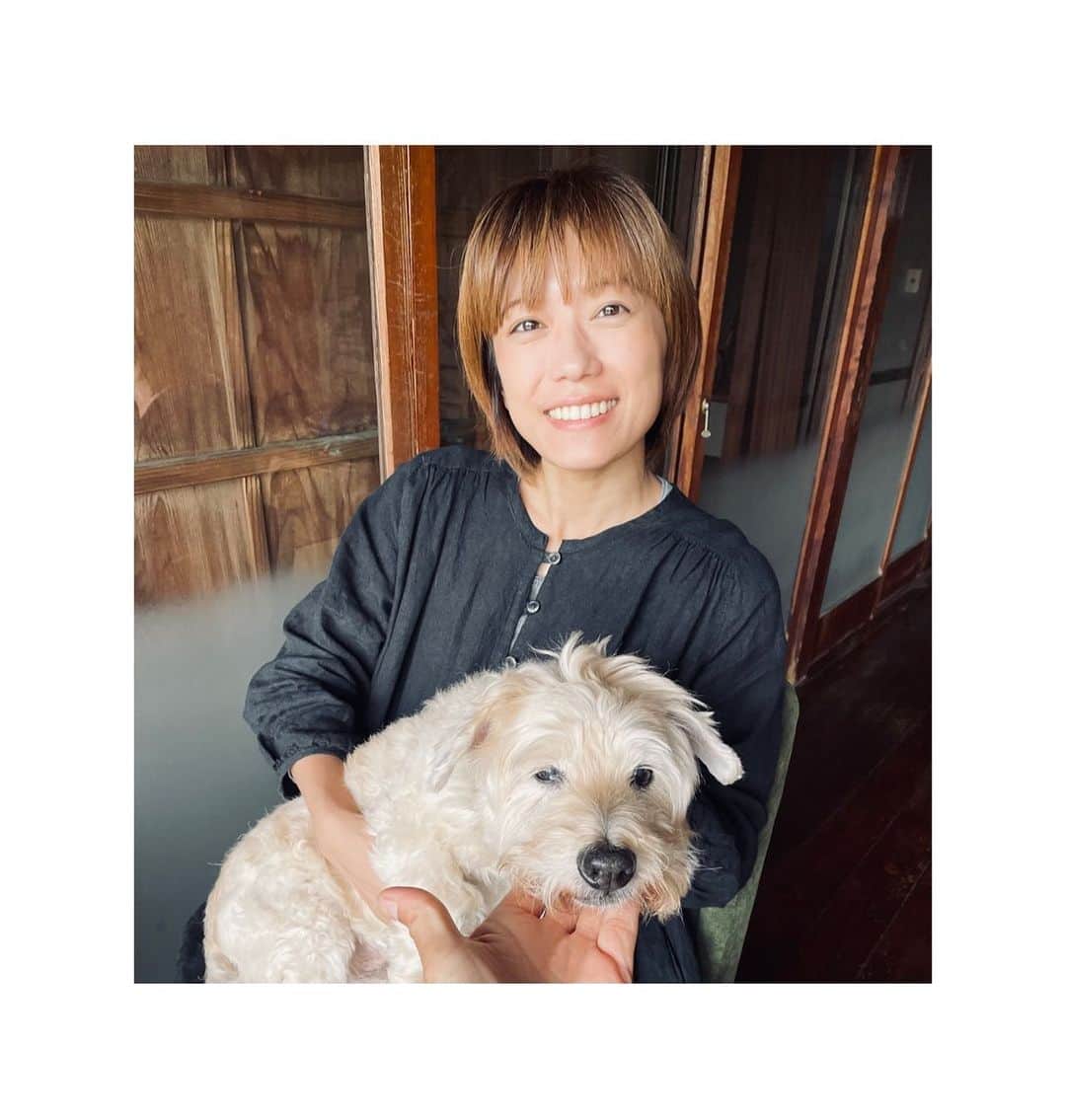 甲斐麻美のインスタグラム：「🌱🌱🌱  今日は ついにストーブの準備をした (hatoさんが)  もう冬支度だ〜❄️  気温15℃で 寒っ！となったんだけど  毎年どうしてこうも 寒い温度を忘れてしまうのか  あーまだまだ 薄着でいたいよぉ🥹  #20231015 #kaicoの好日 #いぬとわたし #犬とわたし」