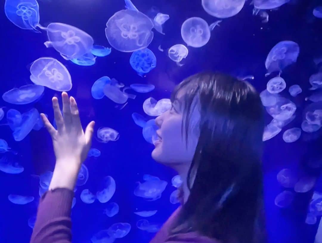 山下森羅さんのインスタグラム写真 - (山下森羅Instagram)「水族館～🐬⁡」10月15日 20時10分 - shiira_yamashita0922