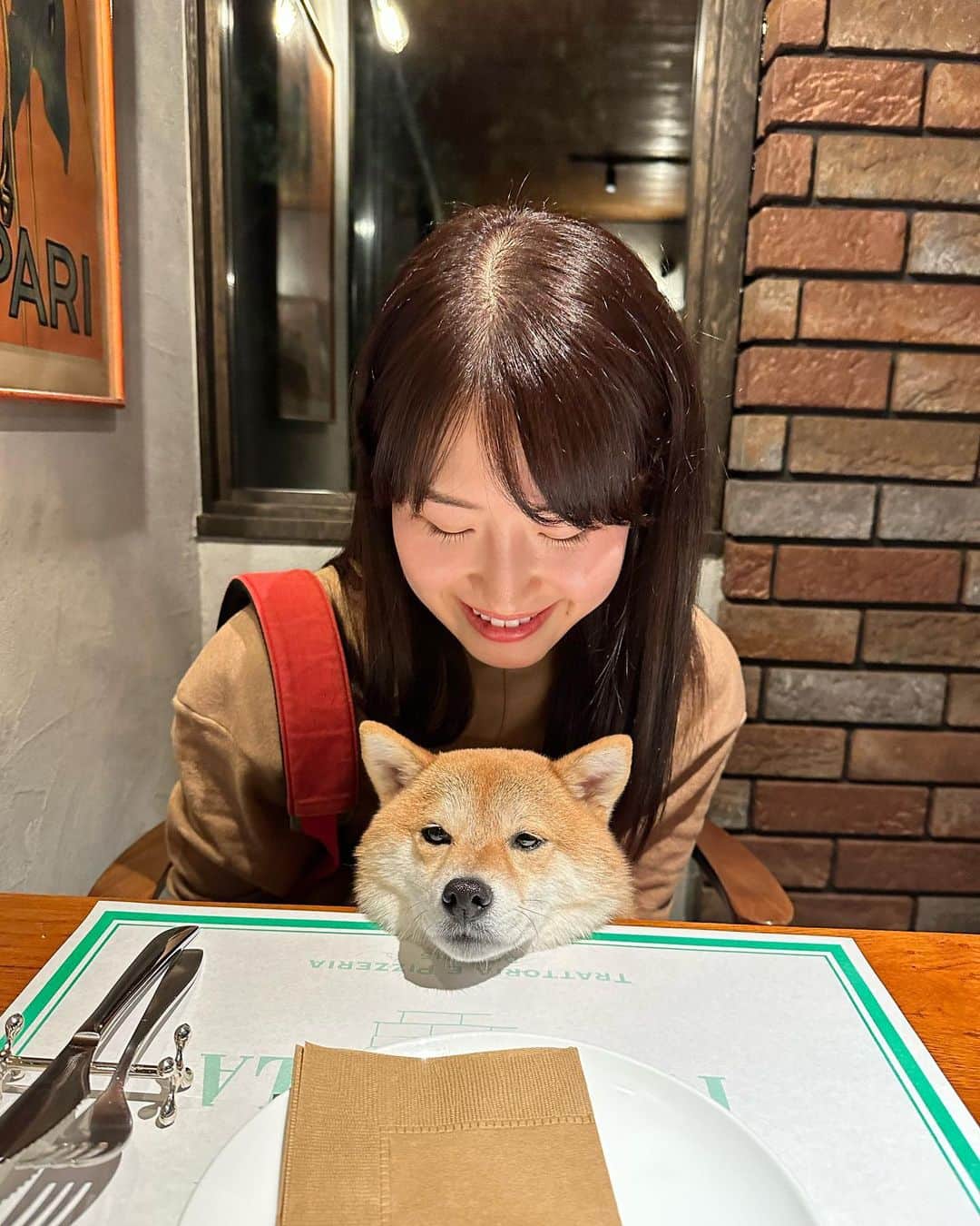 豆柴 福and富さんのインスタグラム写真 - (豆柴 福and富Instagram)「. . 軽井沢で美味しいイタリアンに出会えました🍕♡ @a.fenestella   店内一部わんこもＯＫ💓 店員さんが福富に優しくてとっても嬉しかった☺️  ピザ、パスタ、リゾット、デザート どれも美味しくてまた絶対行きたいお店になりました🥺  福富は疲れていたのか顔が…😂 ピザの耳を少しあげたら一気に元気になったよ🤣笑  最後のデザートももらう気満々の顔の福が可愛すぎた😂💓 富はもらえないと察したのかこの顔😅w  . . #軽井沢 #mylove #doglover  #dogstagram #dogs  #shiba #shibainu #shibalove #shibadog  #shibagram #shibamania #shibalife  #shiba_snap #柴犬 #豆柴 #多頭飼い #犬のいる暮らし #犬のいる生活  #doglover #dogstagram #shibaaaaainu #barked #9gag  #thedailyshibainu #시바견　#시바이누 #小狗  @shiba_snap @barked @everydoglover @9gag」10月15日 20時53分 - fuku_and_tom