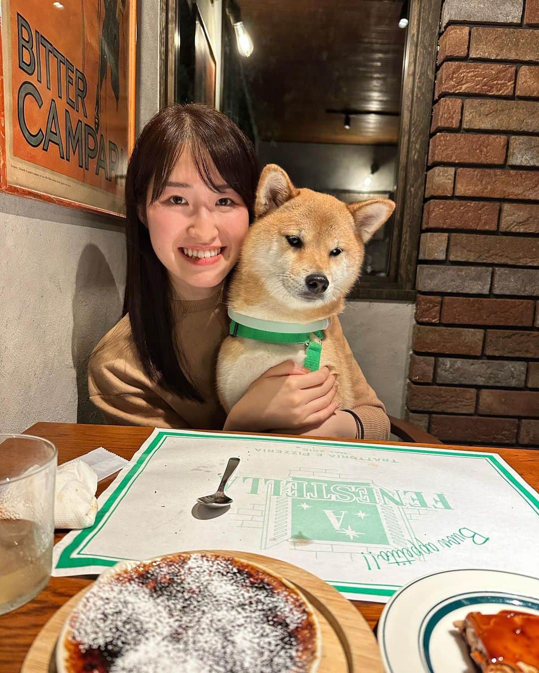 豆柴 福and富さんのインスタグラム写真 - (豆柴 福and富Instagram)「. . 軽井沢で美味しいイタリアンに出会えました🍕♡ @a.fenestella   店内一部わんこもＯＫ💓 店員さんが福富に優しくてとっても嬉しかった☺️  ピザ、パスタ、リゾット、デザート どれも美味しくてまた絶対行きたいお店になりました🥺  福富は疲れていたのか顔が…😂 ピザの耳を少しあげたら一気に元気になったよ🤣笑  最後のデザートももらう気満々の顔の福が可愛すぎた😂💓 富はもらえないと察したのかこの顔😅w  . . #軽井沢 #mylove #doglover  #dogstagram #dogs  #shiba #shibainu #shibalove #shibadog  #shibagram #shibamania #shibalife  #shiba_snap #柴犬 #豆柴 #多頭飼い #犬のいる暮らし #犬のいる生活  #doglover #dogstagram #shibaaaaainu #barked #9gag  #thedailyshibainu #시바견　#시바이누 #小狗  @shiba_snap @barked @everydoglover @9gag」10月15日 20時53分 - fuku_and_tom