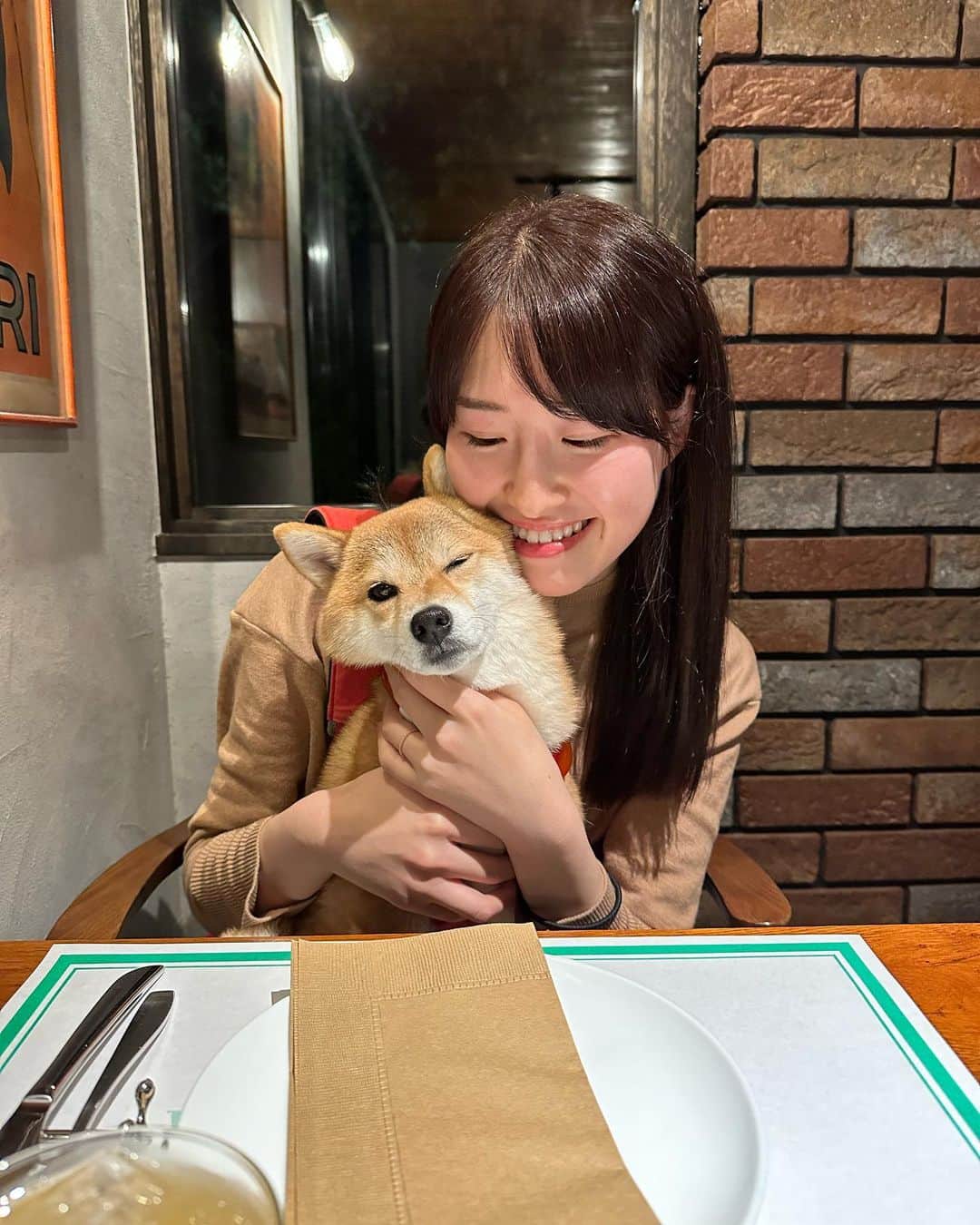 豆柴 福and富さんのインスタグラム写真 - (豆柴 福and富Instagram)「. . 軽井沢で美味しいイタリアンに出会えました🍕♡ @a.fenestella   店内一部わんこもＯＫ💓 店員さんが福富に優しくてとっても嬉しかった☺️  ピザ、パスタ、リゾット、デザート どれも美味しくてまた絶対行きたいお店になりました🥺  福富は疲れていたのか顔が…😂 ピザの耳を少しあげたら一気に元気になったよ🤣笑  最後のデザートももらう気満々の顔の福が可愛すぎた😂💓 富はもらえないと察したのかこの顔😅w  . . #軽井沢 #mylove #doglover  #dogstagram #dogs  #shiba #shibainu #shibalove #shibadog  #shibagram #shibamania #shibalife  #shiba_snap #柴犬 #豆柴 #多頭飼い #犬のいる暮らし #犬のいる生活  #doglover #dogstagram #shibaaaaainu #barked #9gag  #thedailyshibainu #시바견　#시바이누 #小狗  @shiba_snap @barked @everydoglover @9gag」10月15日 20時53分 - fuku_and_tom