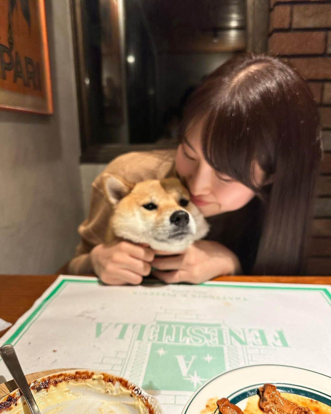 豆柴 福and富さんのインスタグラム写真 - (豆柴 福and富Instagram)「. . 軽井沢で美味しいイタリアンに出会えました🍕♡ @a.fenestella   店内一部わんこもＯＫ💓 店員さんが福富に優しくてとっても嬉しかった☺️  ピザ、パスタ、リゾット、デザート どれも美味しくてまた絶対行きたいお店になりました🥺  福富は疲れていたのか顔が…😂 ピザの耳を少しあげたら一気に元気になったよ🤣笑  最後のデザートももらう気満々の顔の福が可愛すぎた😂💓 富はもらえないと察したのかこの顔😅w  . . #軽井沢 #mylove #doglover  #dogstagram #dogs  #shiba #shibainu #shibalove #shibadog  #shibagram #shibamania #shibalife  #shiba_snap #柴犬 #豆柴 #多頭飼い #犬のいる暮らし #犬のいる生活  #doglover #dogstagram #shibaaaaainu #barked #9gag  #thedailyshibainu #시바견　#시바이누 #小狗  @shiba_snap @barked @everydoglover @9gag」10月15日 20時53分 - fuku_and_tom