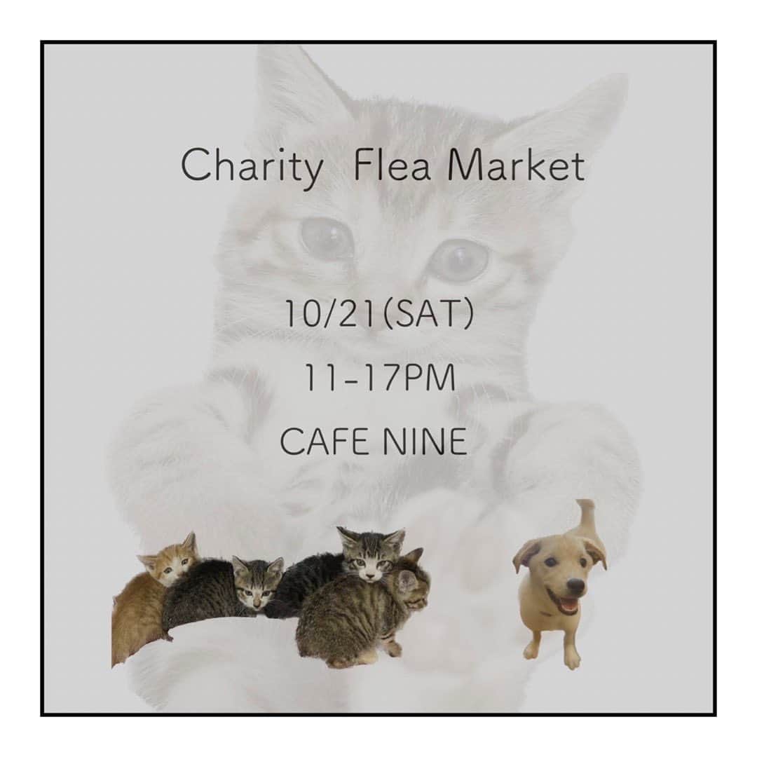 藤田敦子のグルメインスタ