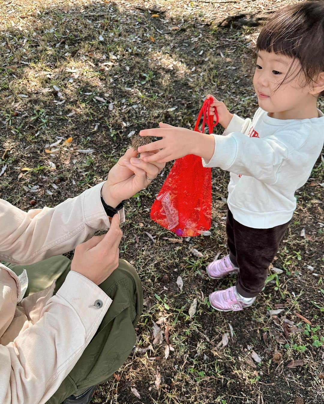 松原加奈恵さんのインスタグラム写真 - (松原加奈恵Instagram)「ご報告。  本日、みやこに  『世界で一番パパが好き』と言われました。  え？  全然いいねんけど  パパ好きなんは嬉しいねんけど  私もそうなって欲しいと願ってたけど  "世界で一番" はママであってくれ🫡  #同率一位の可能性あり #これからも頑張ります #4人家族」10月15日 23時06分 - piiiiiiico