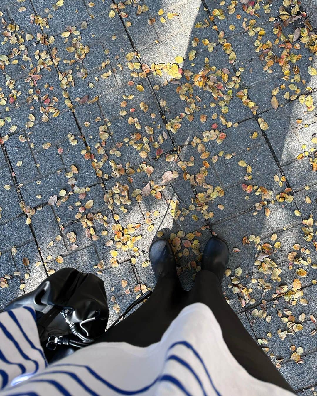 のインスタグラム：「気持ちよく過ごしやすい毎日が嬉しく 見渡せば秋は深まっていってるね🍂」