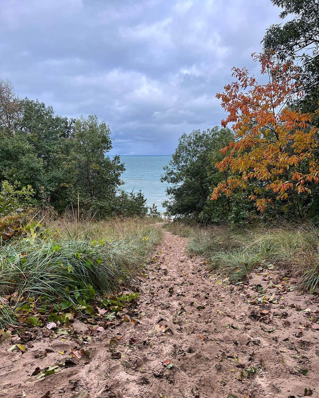 カーキ・キングのインスタグラム：「Indiana Dunes」