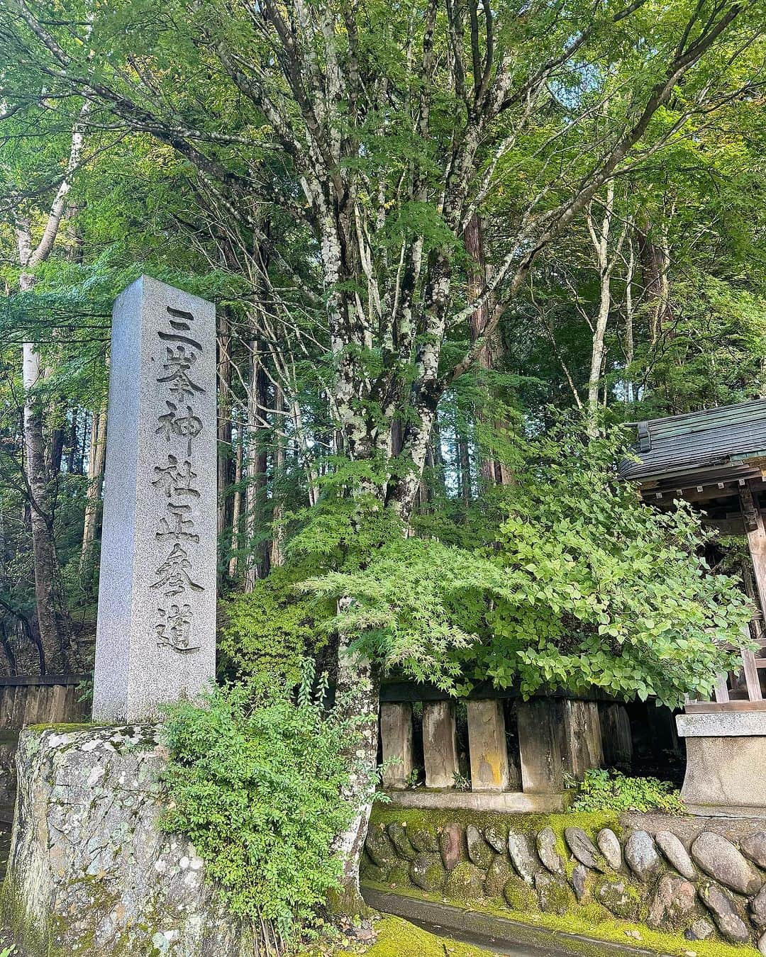 Sarraさんのインスタグラム写真 - (SarraInstagram)「私の神社の属性に入っている、三峯神社へ⛩️✨ 去年導かれ今年も久しぶりに訪れました🥰 御祈祷もしてPower満点です❣️ . . . . #HOTPING#mitsumineshrine#saitama#chichibu#japan#shrine#sacredsites#spiritualplace#spiritual#三峯神社#埼玉#埼玉観光#埼玉県#秩父#秩父観光#秩父市#三峰山#パワースポット#パワースポット神社#パワースポット巡り#神社#神社巡り#神社好きな人と繋がりたい#人生が変わる」10月16日 0時27分 - sarra31247