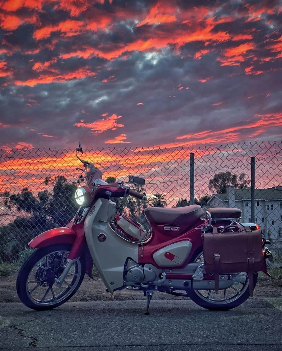 Honda Powersports USのインスタグラム：「Sundays, sunsets, and Super Cubs... just a few of our favorite things. 🌇 Thanks for tagging us, @supercubrider! #miniMOTO #SuperCub #BetterOnAHonda」