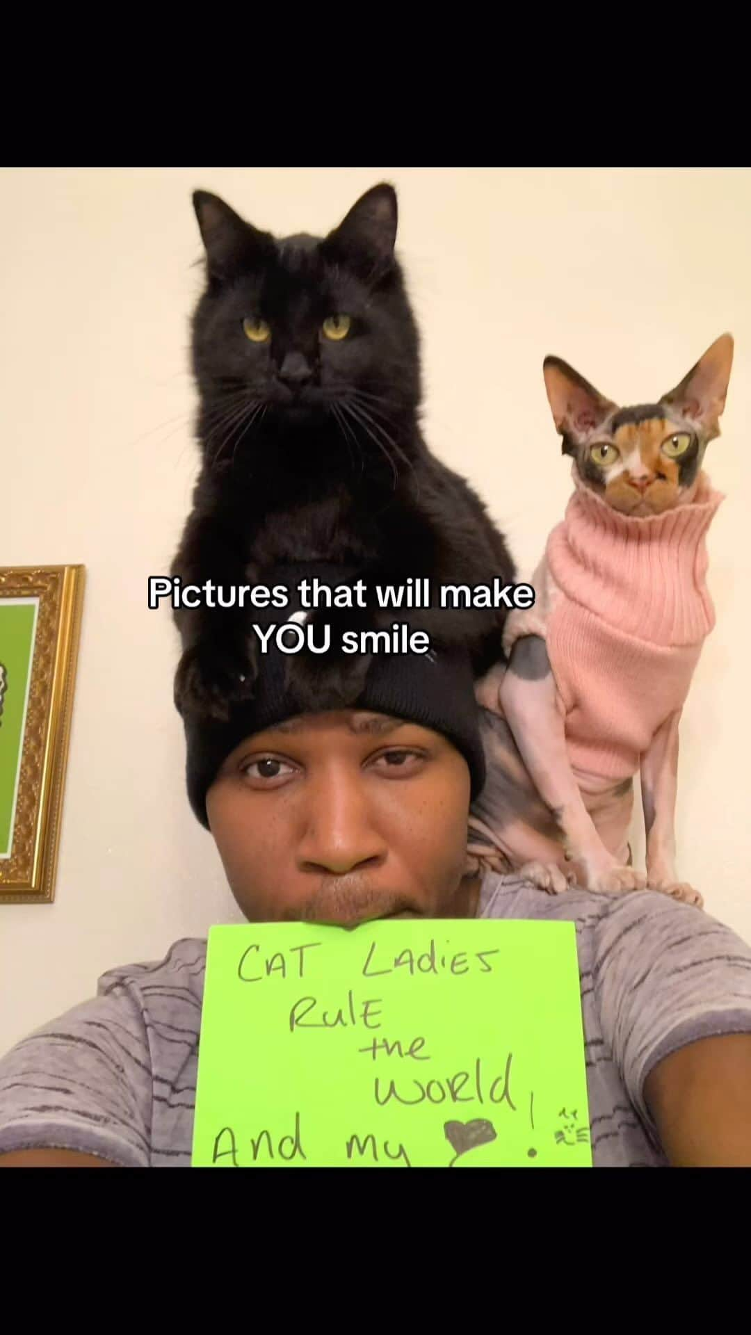 MSHO™(The Cat Rapper) のインスタグラム：「Always loved y’all and always will. That’s all I got to say. Just wanted to make y’all smile. Let us know if it was successful or nah? ❤️ #TheCatRapper #CatMan #CatMom #CatDad #CatLady #MoGang」