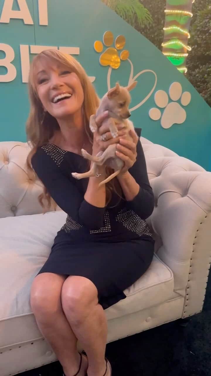 ジェーン・シーモアのインスタグラム：「Made a new cuddly friend at the @wagsandwalks gala! 🐶 I’m honoured to contribute to their mission of rescuing dogs and ensuring they find loving forever homes. 🩷」