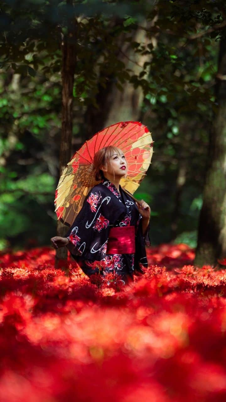 Joshのインスタグラム：「// Kinchakuda portraits - where shadow lies and crimson flames arise. I would definitely like to try another location for spider lilies next year! This spot is incredible to go to again but we need to get to exploring more :) . With @ariel.land  . . #japan #japaneseculture #portraitgasm #portraitmood #portraitsociety #makeportraits #sonyportraits #under10kportraits #portraitmovement #ポトレ #ポトレのセカイ #ポトレモデル #美女 #visitjapan #visitjapanjp #visitjapanau #explorejapan #exploretokyo #discoverjapan #discovertokyo #matcha_jp #visitjapan #visitjapanjp #visitjapanau #explorejapan #japantravel #tokyoweekender」