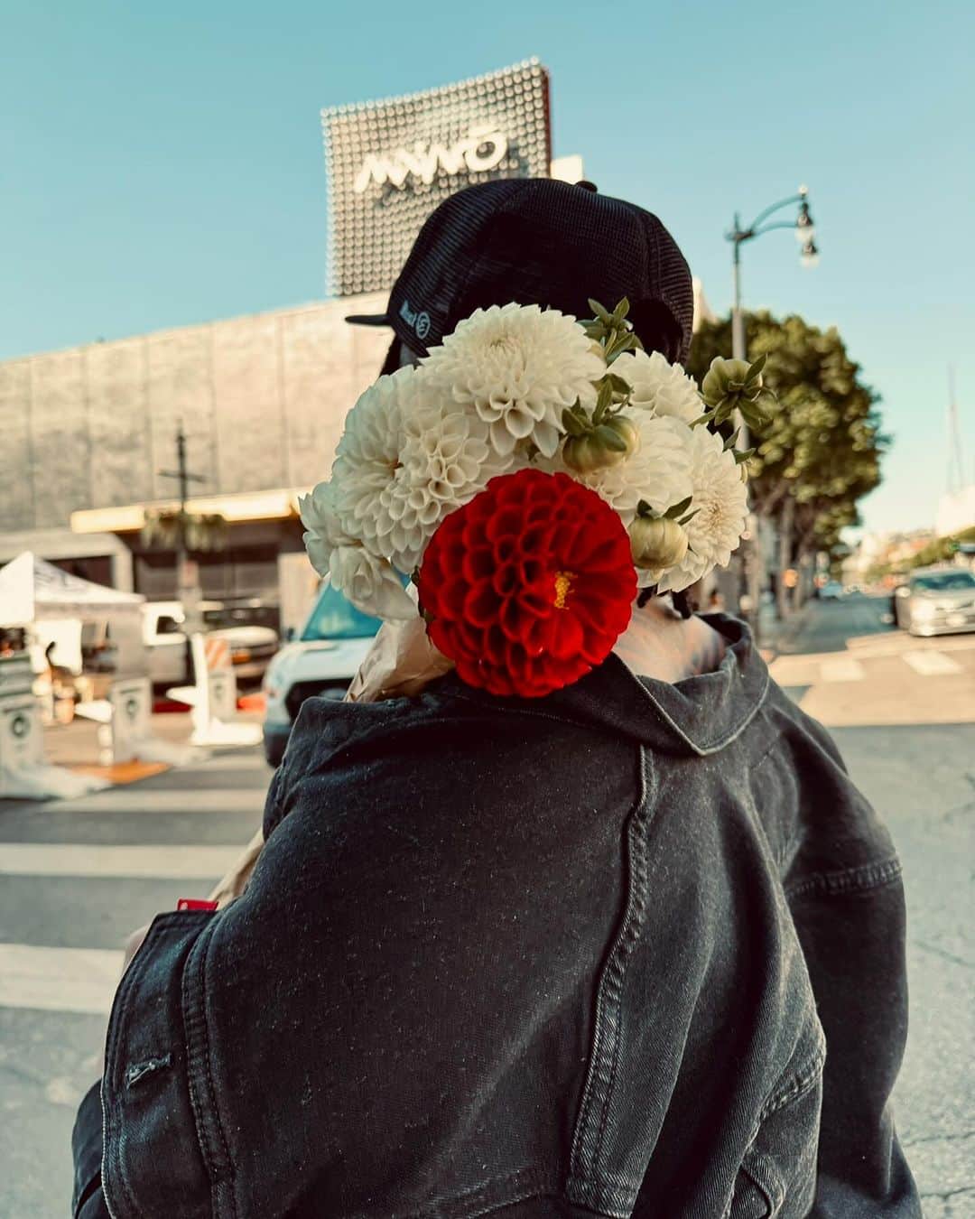 クリス・オドネルのインスタグラム：「This Sunday is for healing .. 🌺」