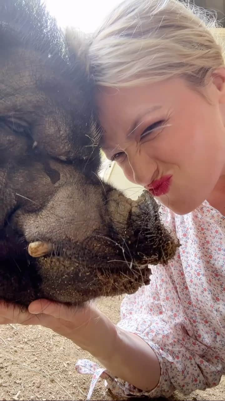 ベス・ベアーズのインスタグラム：「Kiss a pig once in a while. It'll make life seem a little easier」