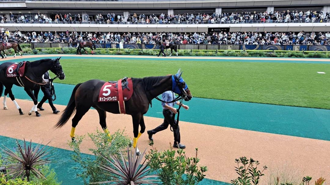 宇月田麻裕さんのインスタグラム写真 - (宇月田麻裕Instagram)「10/15 #東京競馬場　#東京ハイジャンプ　#秋華賞　やはり生はいい。感動します！ #ゴールドシップ産駒　#マイネルグロン　おめでとう。 まだ5歳なので、これからも楽しみ♪　　 秋華賞の　#リバティアイランド　は怪物だー。やはり群を抜いて強い！　来年は海外進出。楽しみ♪ いつも一緒に行ってくれる友人に感謝💕」10月16日 3時06分 - mahiro_utsukita