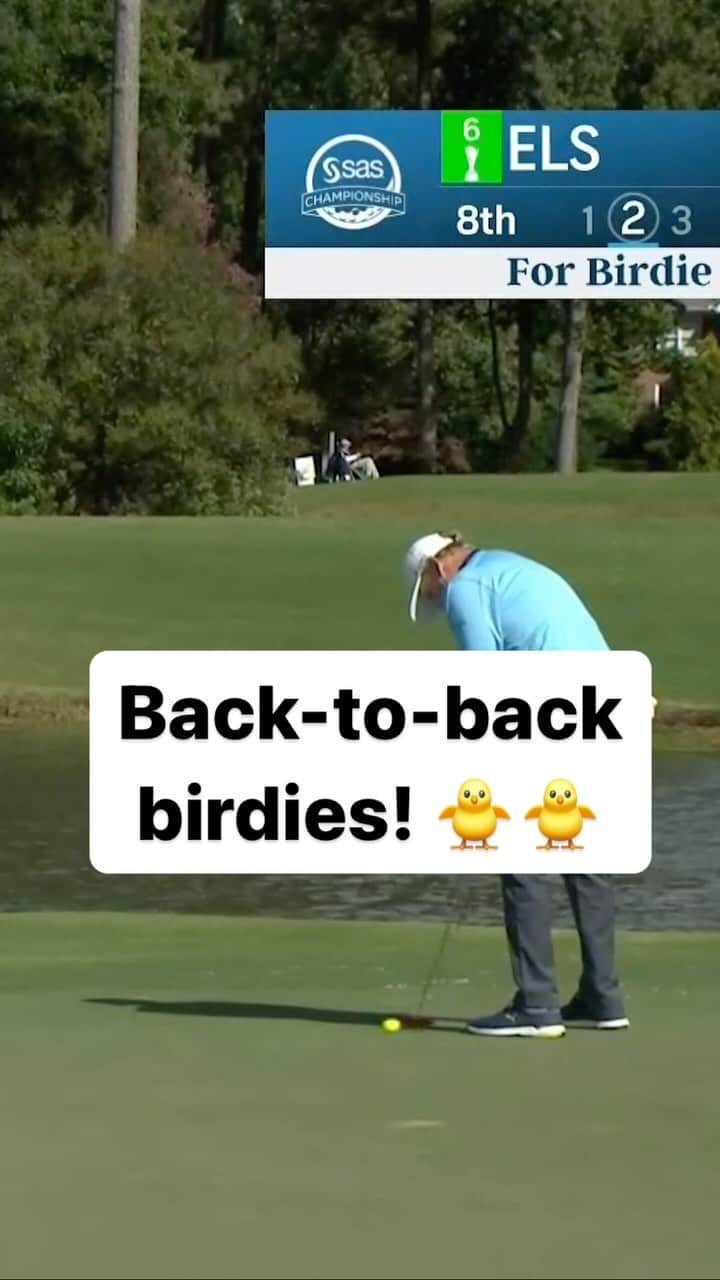 アーニー・エルスのインスタグラム：「@ernieelsgolf is one shot back from the lead thru 8 @saschampionship.」