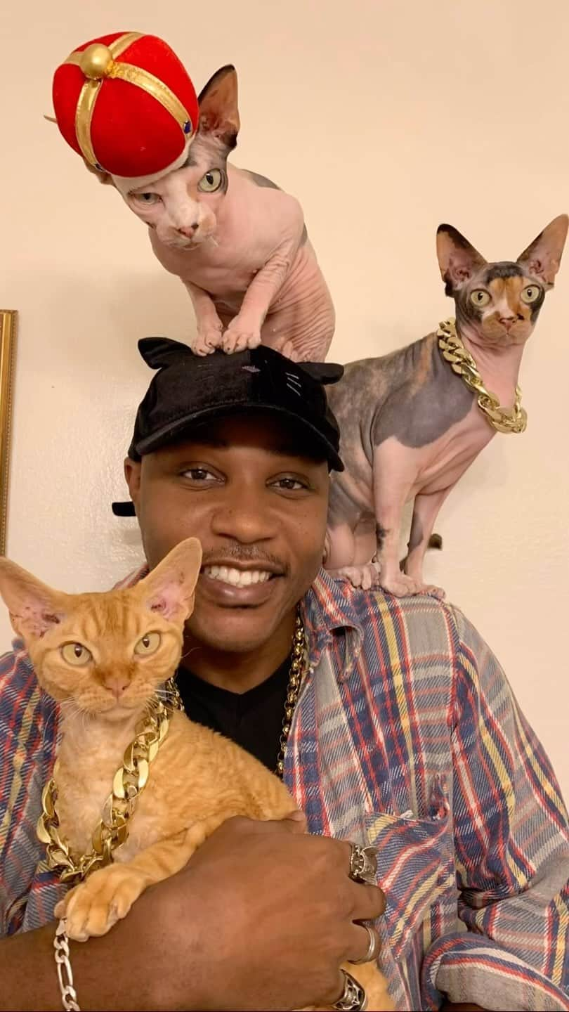 MSHO™(The Cat Rapper) のインスタグラム：「Just wanted to make y’all smile TWICE today. Shoutout to all the nice and real people. We love you, let us know if it worked? ❤️ #TheCatRapper #CatMan #CatDad #CatMom #CatLady #MoGang」