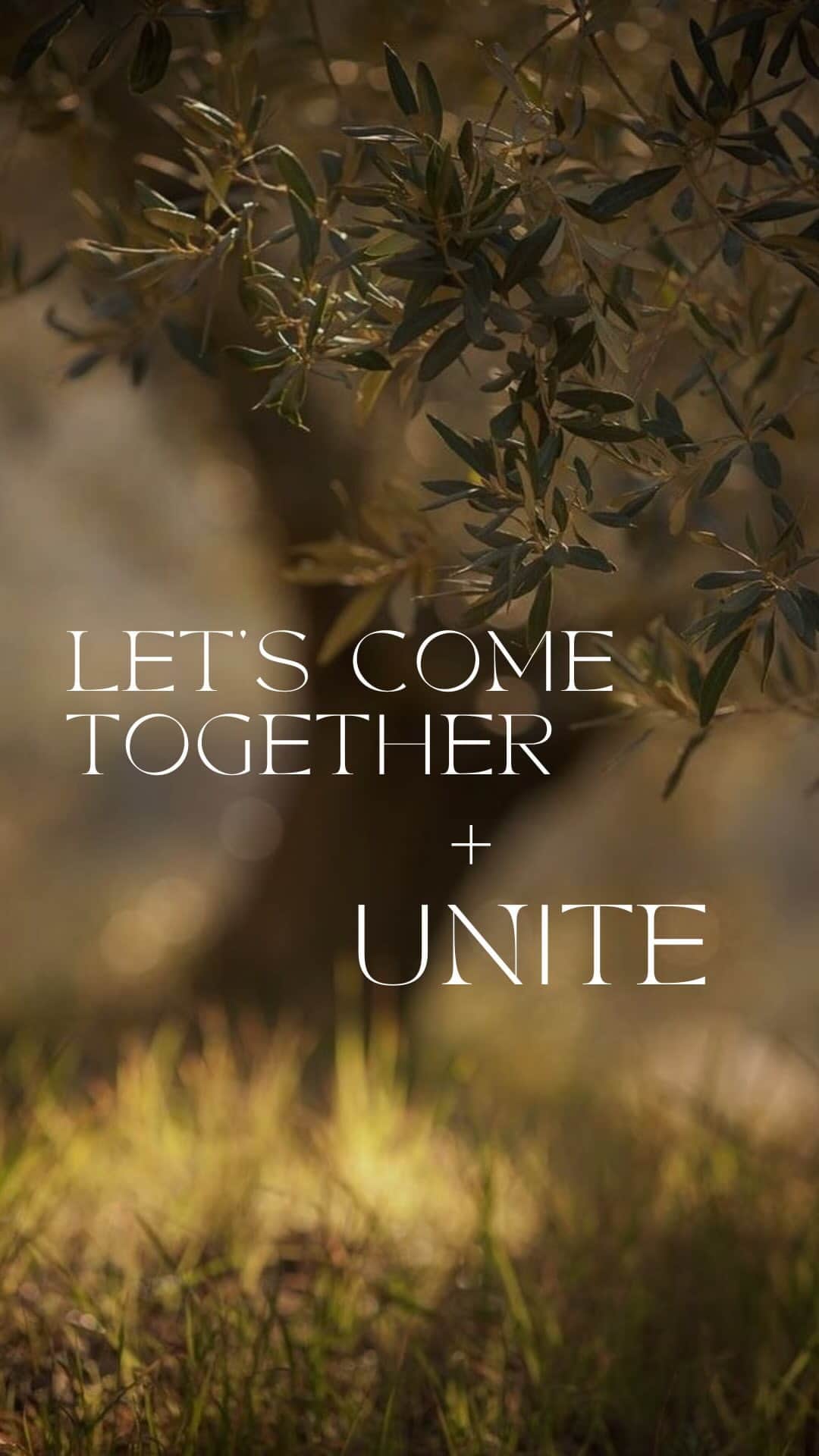 ディラン・モスコビッチのインスタグラム：「Thank you all who joined me LIVE for this collective prayer.   The Israel/Palestine conflict is heartbreaking and the hate, violence and loss of Life is impacting all of Humanity. With a lot of pain, anger and outrage being felt, receptivity to dialogue is challenging. It is a difficult thing to be in a state of helplessness.   We can, however, pray and send love. Our collective energy and love can help each of us individually, as well as the collective.  The word prayer means something different to so many people and I would like to offer it as a Wish from the Heart. A focus of energy shared with Intention and Attention.  As we are all powerful creators of such energy, I invite us all to offer that energy toward peace and resolution — that no more innocent lives be lost. That hate, fear and separation be replaced by Love, Unity and Truth.   Regardless of beliefs, we can all come together to work on Healing our Hearts and offer our Love and Prayers to all those in need.  May the Truth be revealed and Freedom and Peace be upon us all.」