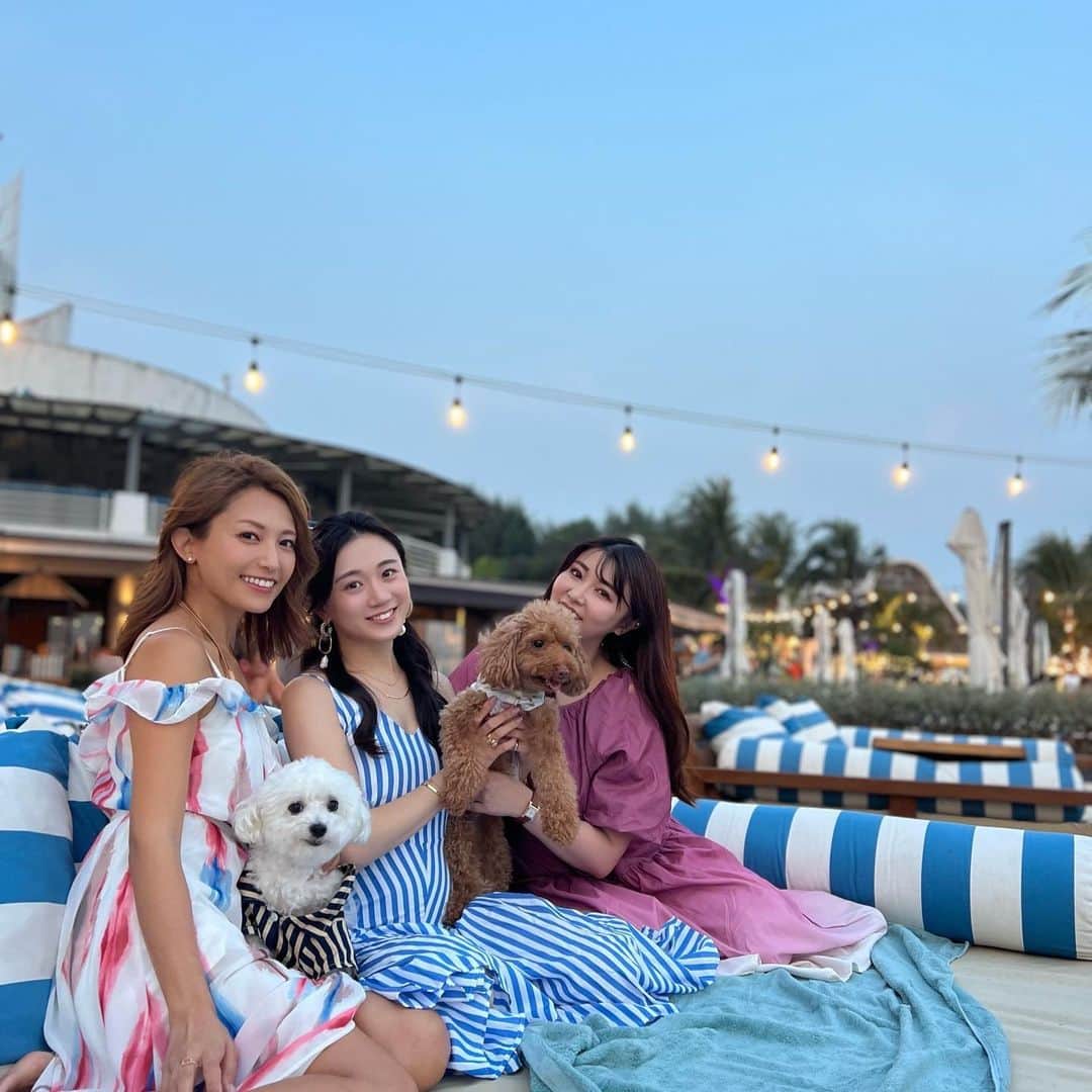 橘まりやさんのインスタグラム写真 - (橘まりやInstagram)「我が子と大好きな人たちと幸せ休日🫶🏻🤍🤍🤍  @stellaseasidelounge  #singaporelife #singapore #singaporegirl #singaporeinsta #sginstagram #sginstagrammers #シンガポール在住 #シンガポールライフ #シンガポールおすすめ #シンガポール情報 #シンガポール美女 #シンガポール #シンガポール 生活 #シンガポールインスタグラマー #橘まりや #グラビア #グラドル  #pinupgirl #pinupmodel #bikinimodel  #sexy #japanesegirl #idol #그라비아 #偶像 #寫真偶像」10月16日 16時04分 - mariya_tachibana_official